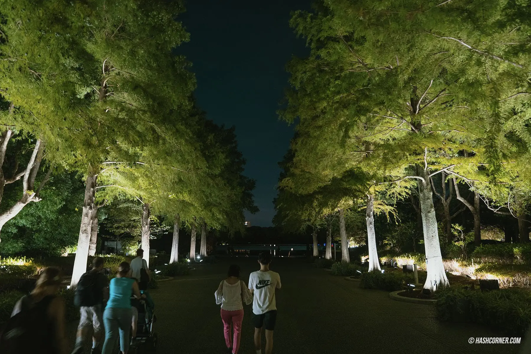 รีวิว teamLab Botanical Garden Osaka x โอซาก้า งานอาร์ทคูลๆ ในสวนพฤกษศาสตร์
