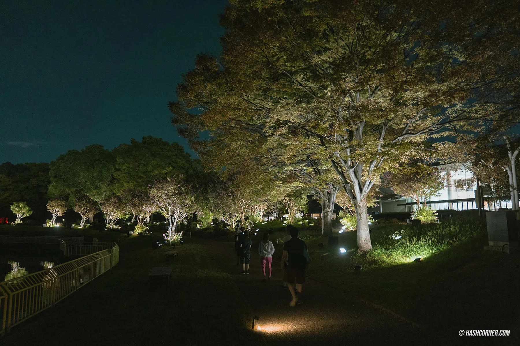 รีวิว teamLab Botanical Garden Osaka x โอซาก้า งานอาร์ทคูลๆ ในสวนพฤกษศาสตร์