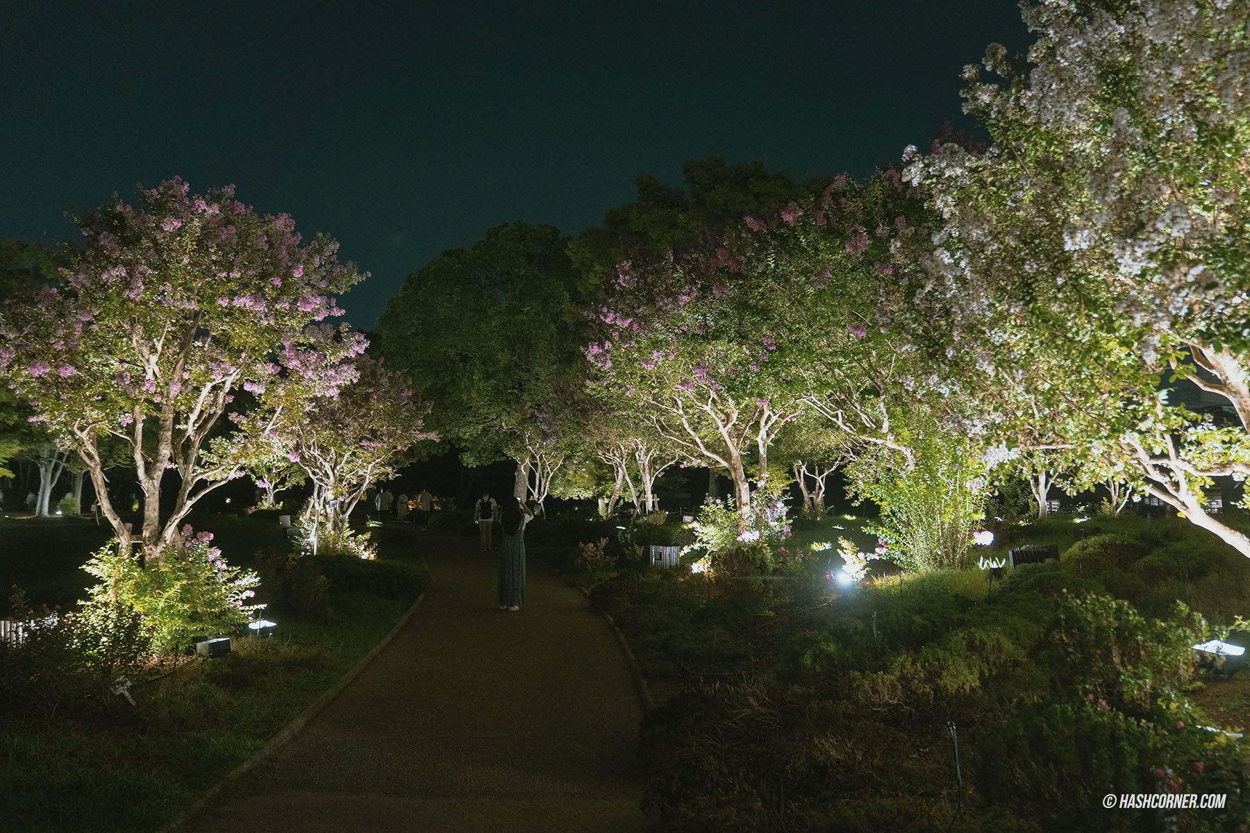 รีวิว teamLab Botanical Garden Osaka x โอซาก้า งานอาร์ทคูลๆ ในสวนพฤกษศาสตร์