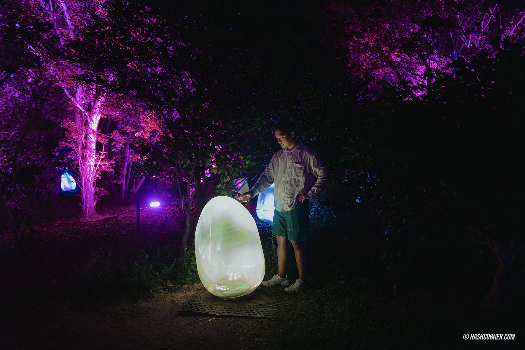 รีวิว teamLab Botanical Garden Osaka x โอซาก้า งานอาร์ทคูลๆ ในสวนพฤกษศาสตร์