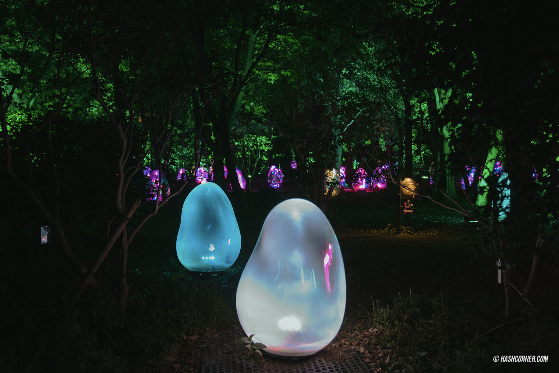 รีวิว teamLab Botanical Garden Osaka x โอซาก้า งานอาร์ทคูลๆ ในสวนพฤกษศาสตร์