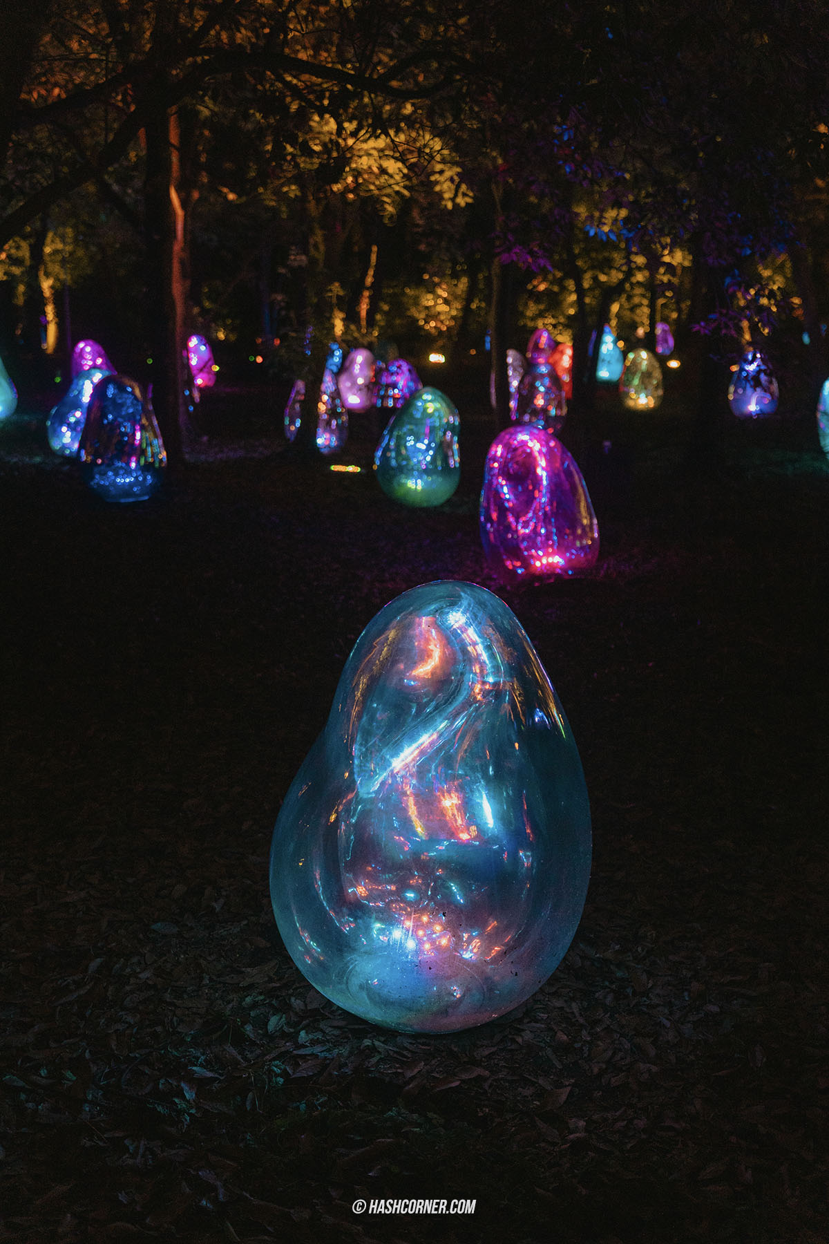 รีวิว teamLab Botanical Garden Osaka x โอซาก้า งานอาร์ทคูลๆ ในสวนพฤกษศาสตร์