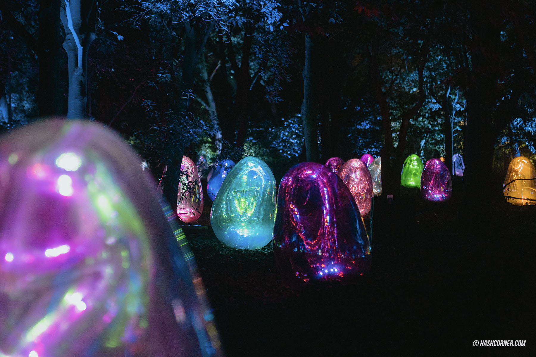 รีวิว teamLab Botanical Garden Osaka x โอซาก้า งานอาร์ทคูลๆ ในสวนพฤกษศาสตร์