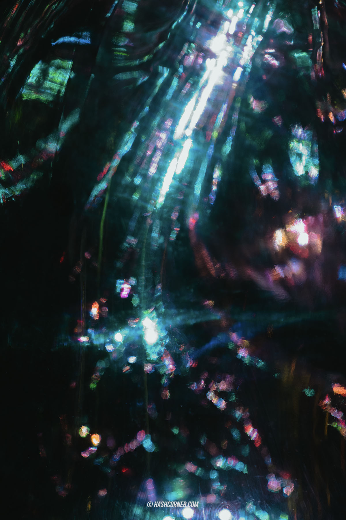 รีวิว teamLab Botanical Garden Osaka x โอซาก้า งานอาร์ทคูลๆ ในสวนพฤกษศาสตร์