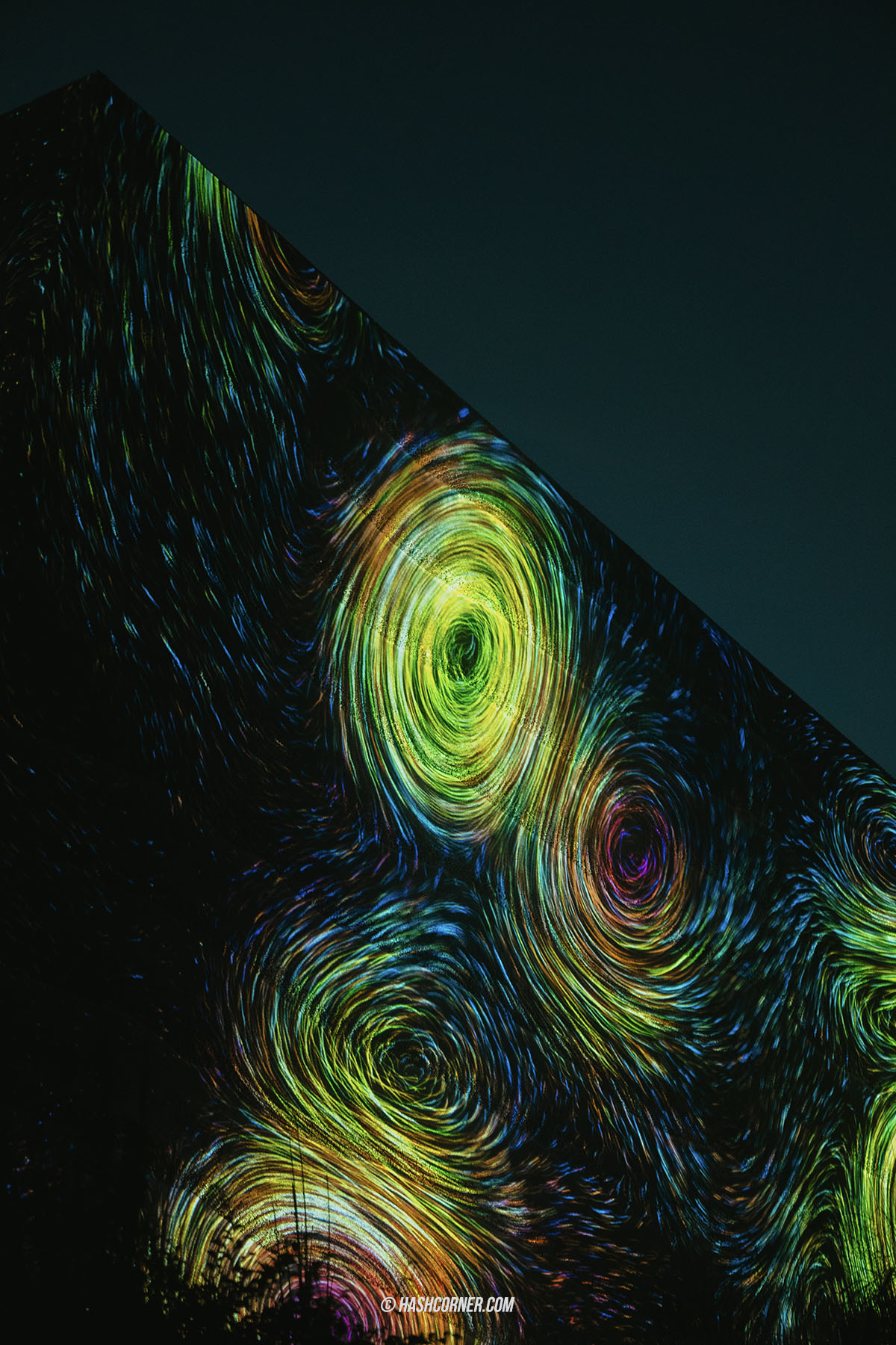 รีวิว teamLab Botanical Garden Osaka x โอซาก้า งานอาร์ทคูลๆ ในสวนพฤกษศาสตร์