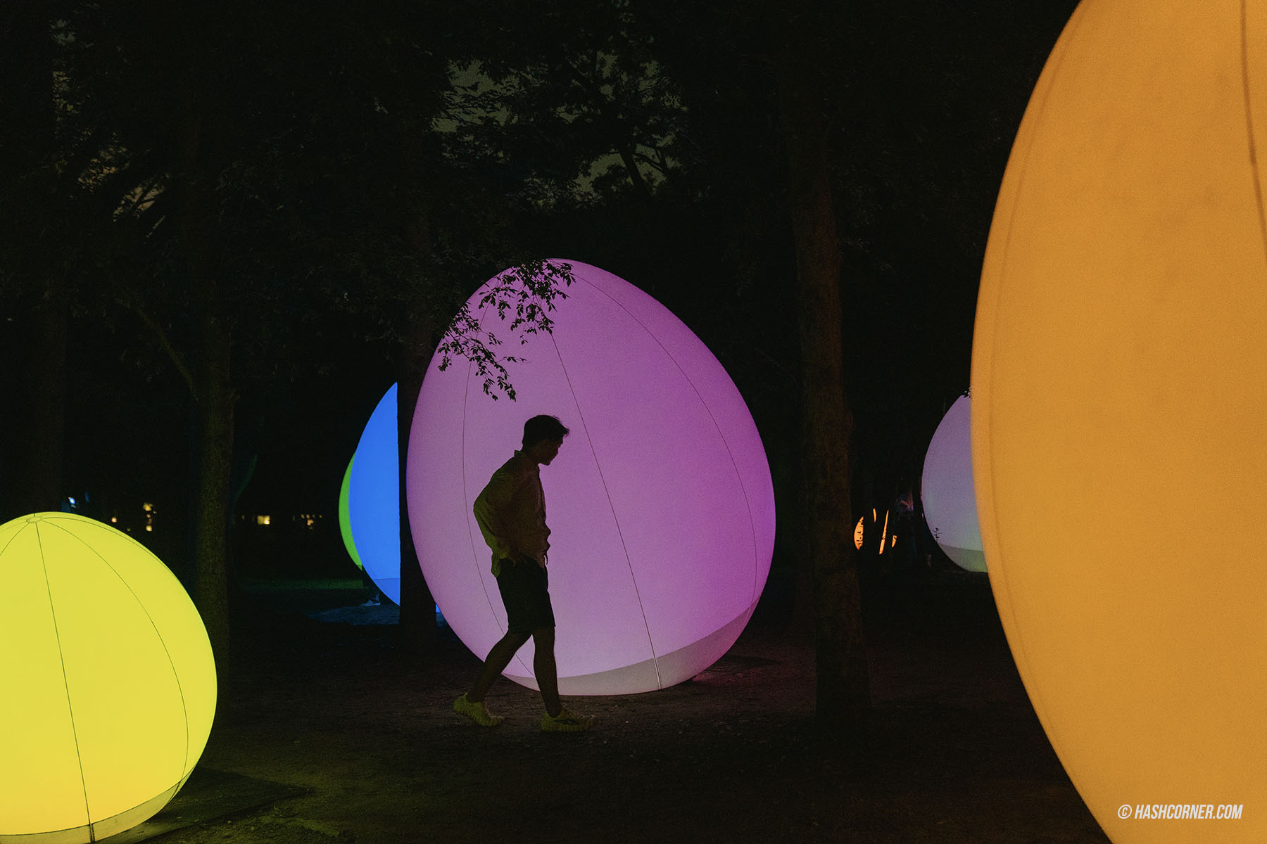 รีวิว teamLab Botanical Garden Osaka x โอซาก้า งานอาร์ทคูลๆ ในสวนพฤกษศาสตร์
