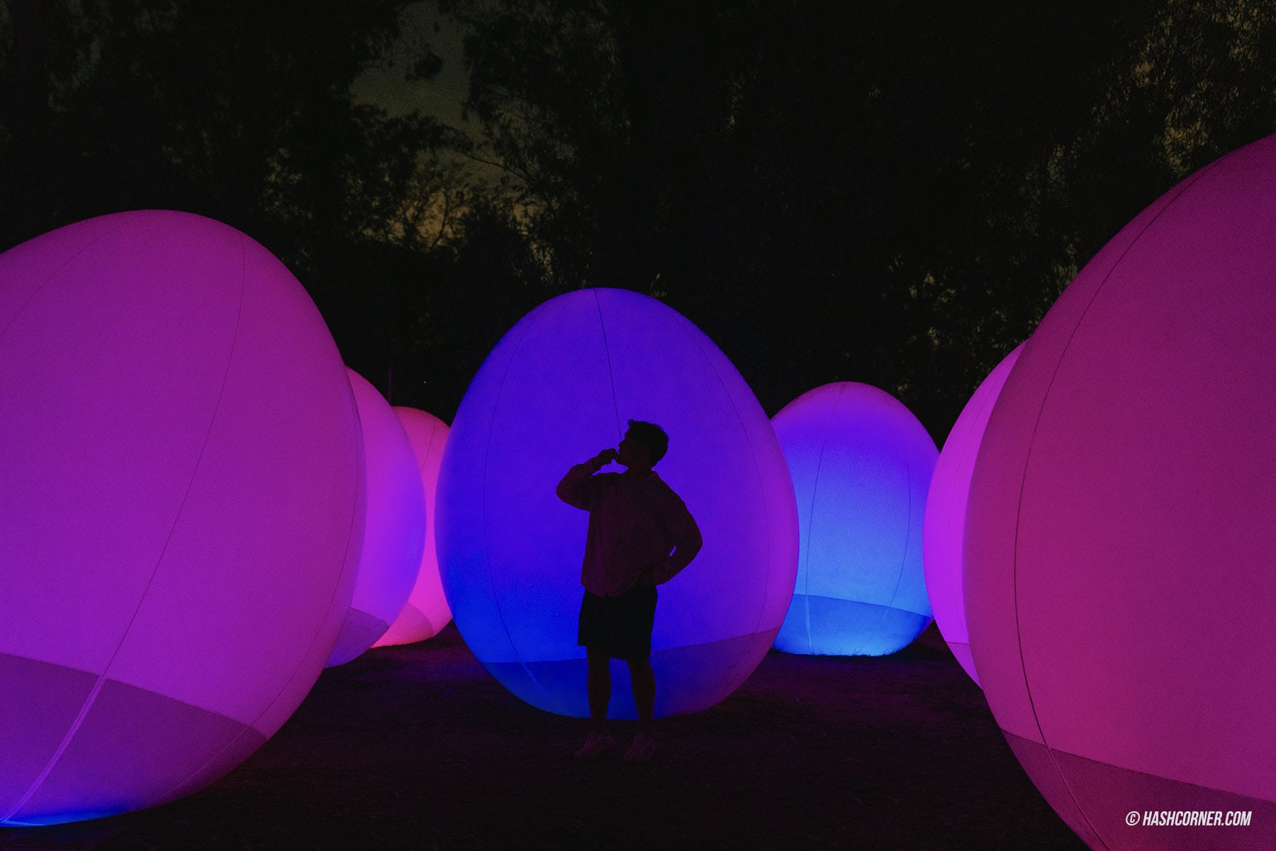 รีวิว teamLab Botanical Garden Osaka x โอซาก้า งานอาร์ทคูลๆ ในสวนพฤกษศาสตร์