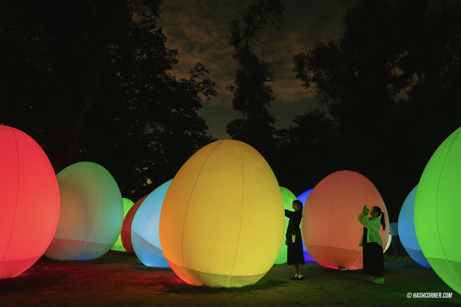 รีวิว teamLab Botanical Garden Osaka x โอซาก้า งานอาร์ทคูลๆ ในสวนพฤกษศาสตร์