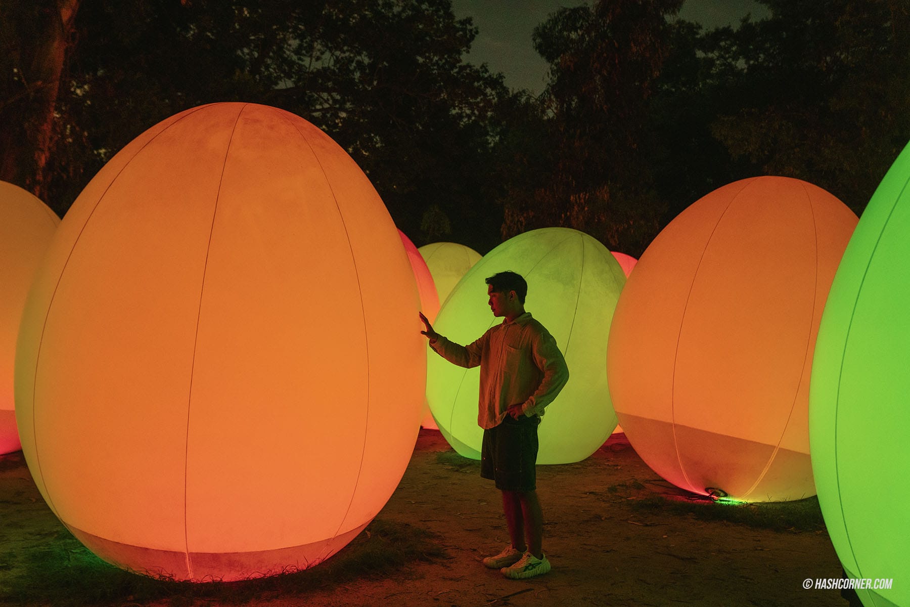 รีวิว teamLab Botanical Garden Osaka x โอซาก้า งานอาร์ทคูลๆ ในสวนพฤกษศาสตร์
