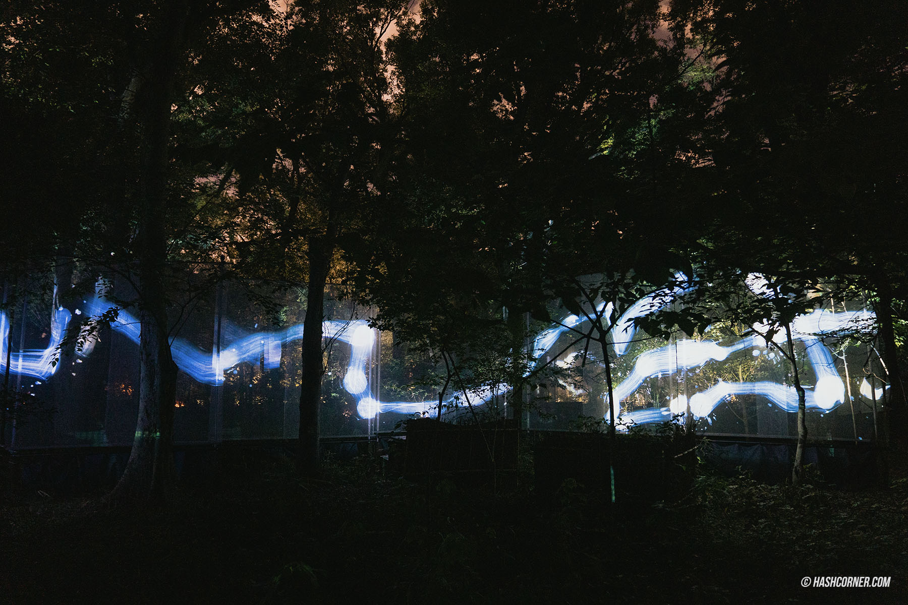 รีวิว teamLab Botanical Garden Osaka x โอซาก้า งานอาร์ทคูลๆ ในสวนพฤกษศาสตร์