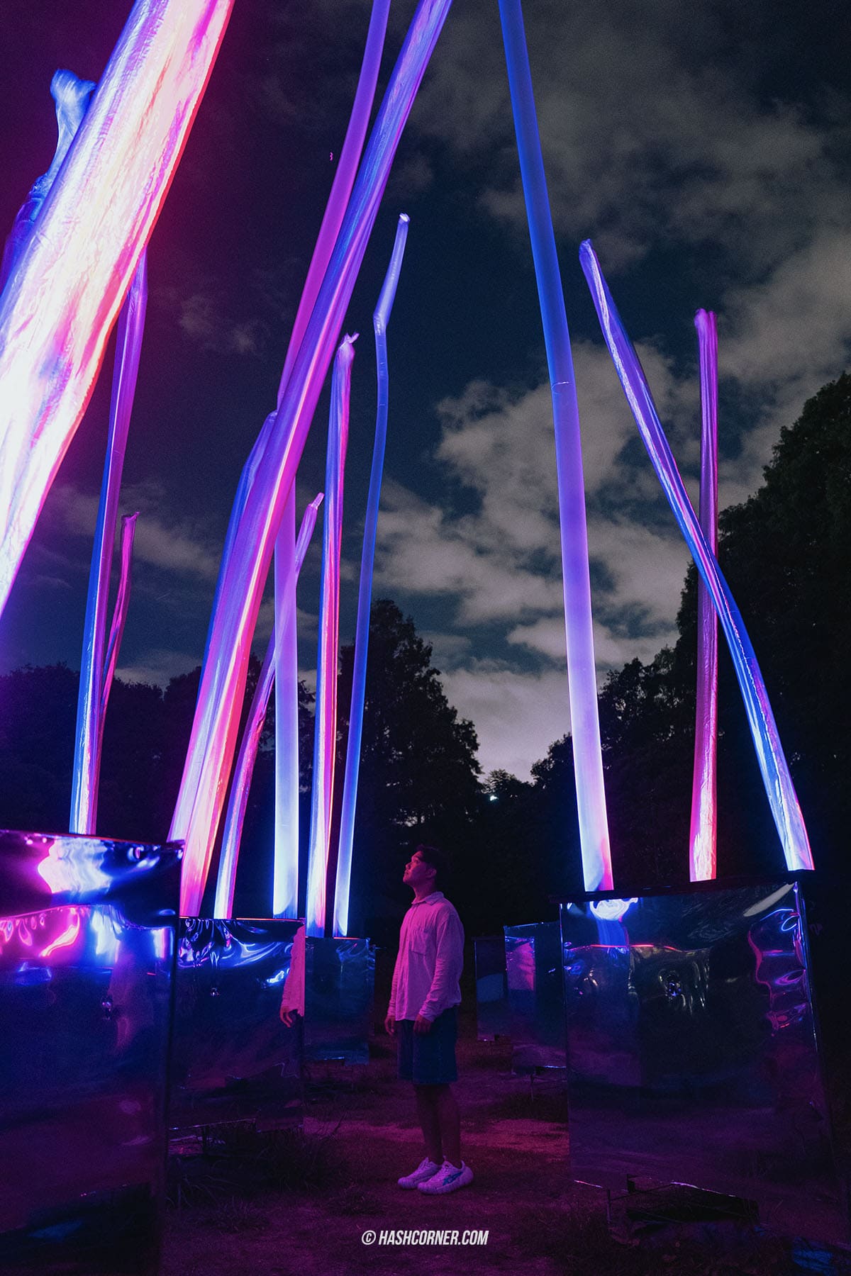 รีวิว teamLab Botanical Garden Osaka x โอซาก้า งานอาร์ทคูลๆ ในสวนพฤกษศาสตร์