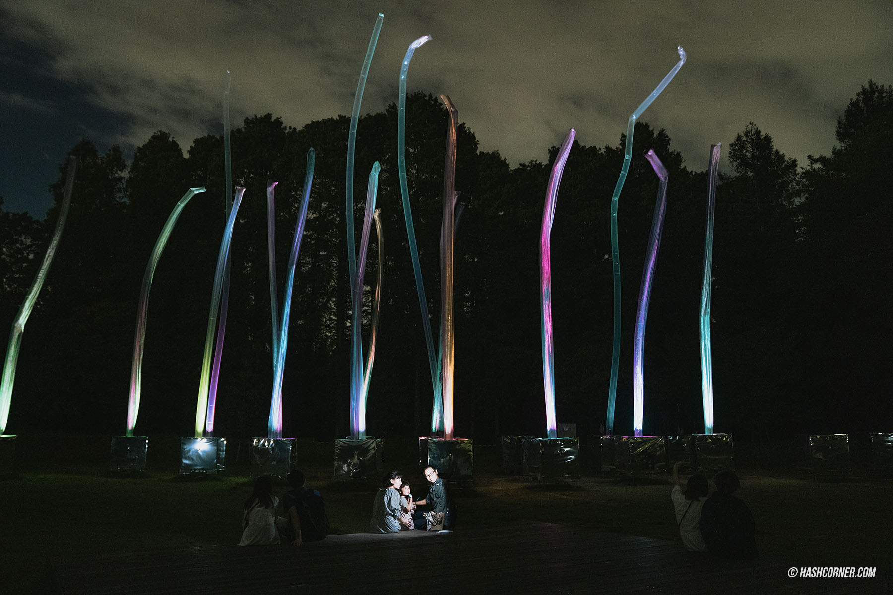 รีวิว teamLab Botanical Garden Osaka x โอซาก้า งานอาร์ทคูลๆ ในสวนพฤกษศาสตร์