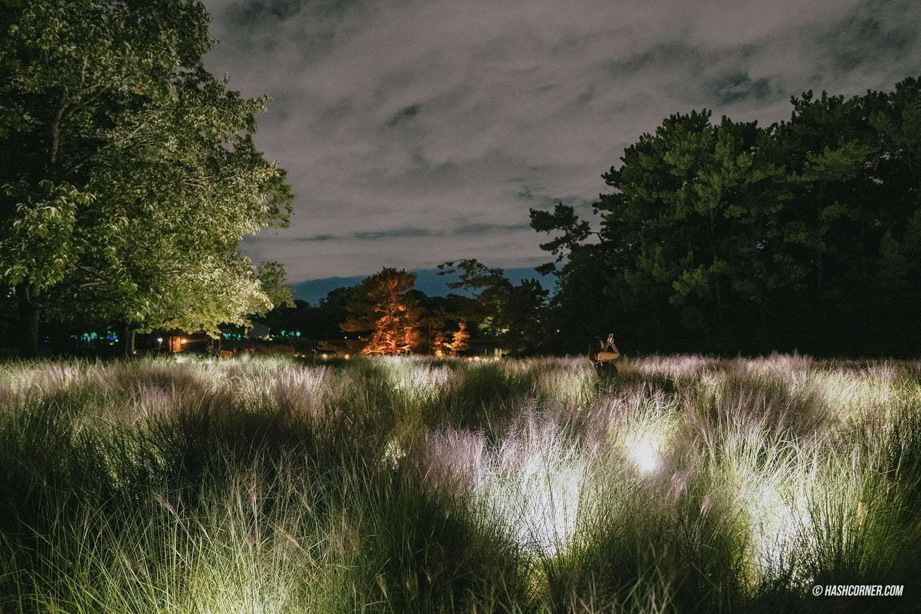 รีวิว teamLab Botanical Garden Osaka x โอซาก้า งานอาร์ทคูลๆ ในสวนพฤกษศาสตร์