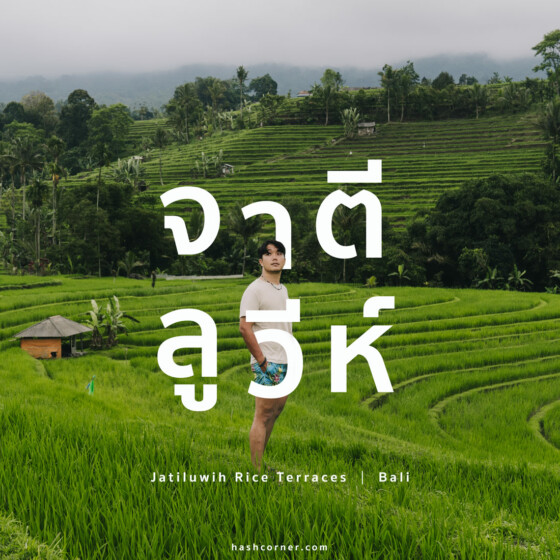 รีวิว นาขั้นบันไดจาตีลูวีห์ (Jatiluwih Rice Terraces) x บาหลี นาขั้นบันไดมรดกโลก