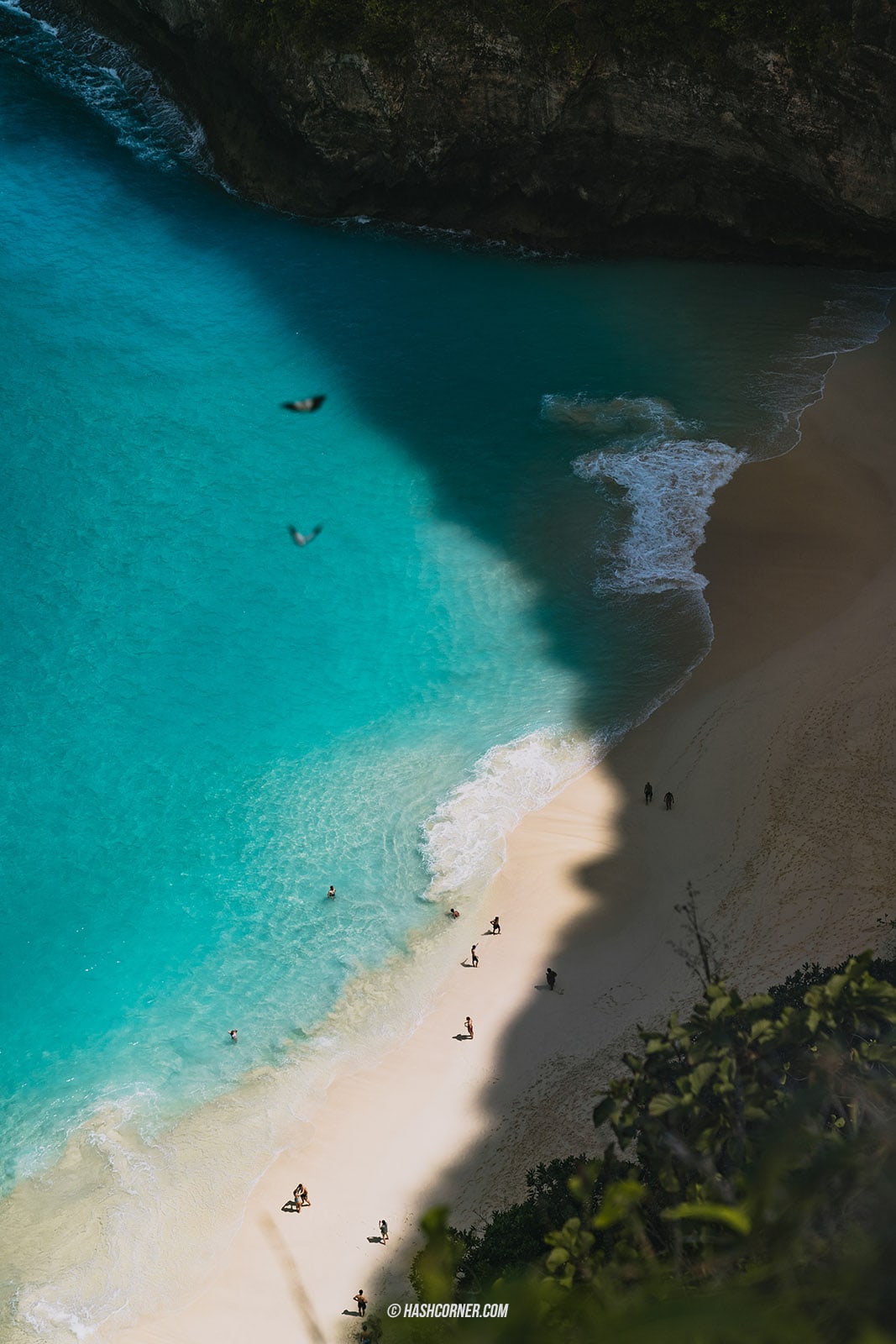 รีวิว หน้าผาทีเร็กซ์ หาดเกอลิงกิง (Kelingking Beach) x เกาะนูซาเปอนีดา บาหลี