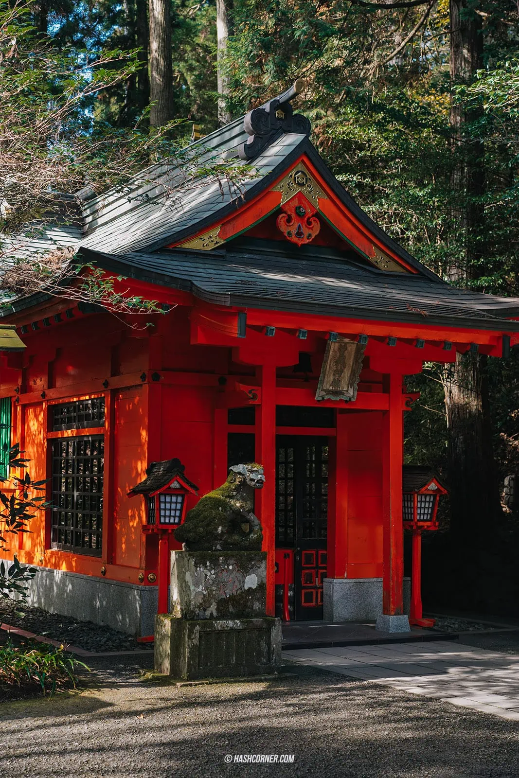 รีวิว ศาลเจ้าฮาโกเน่ (Hakone Shrine) x ฮาโกเน่ ศาลเจ้าเก่าแก่อายุ 1,250 ปี