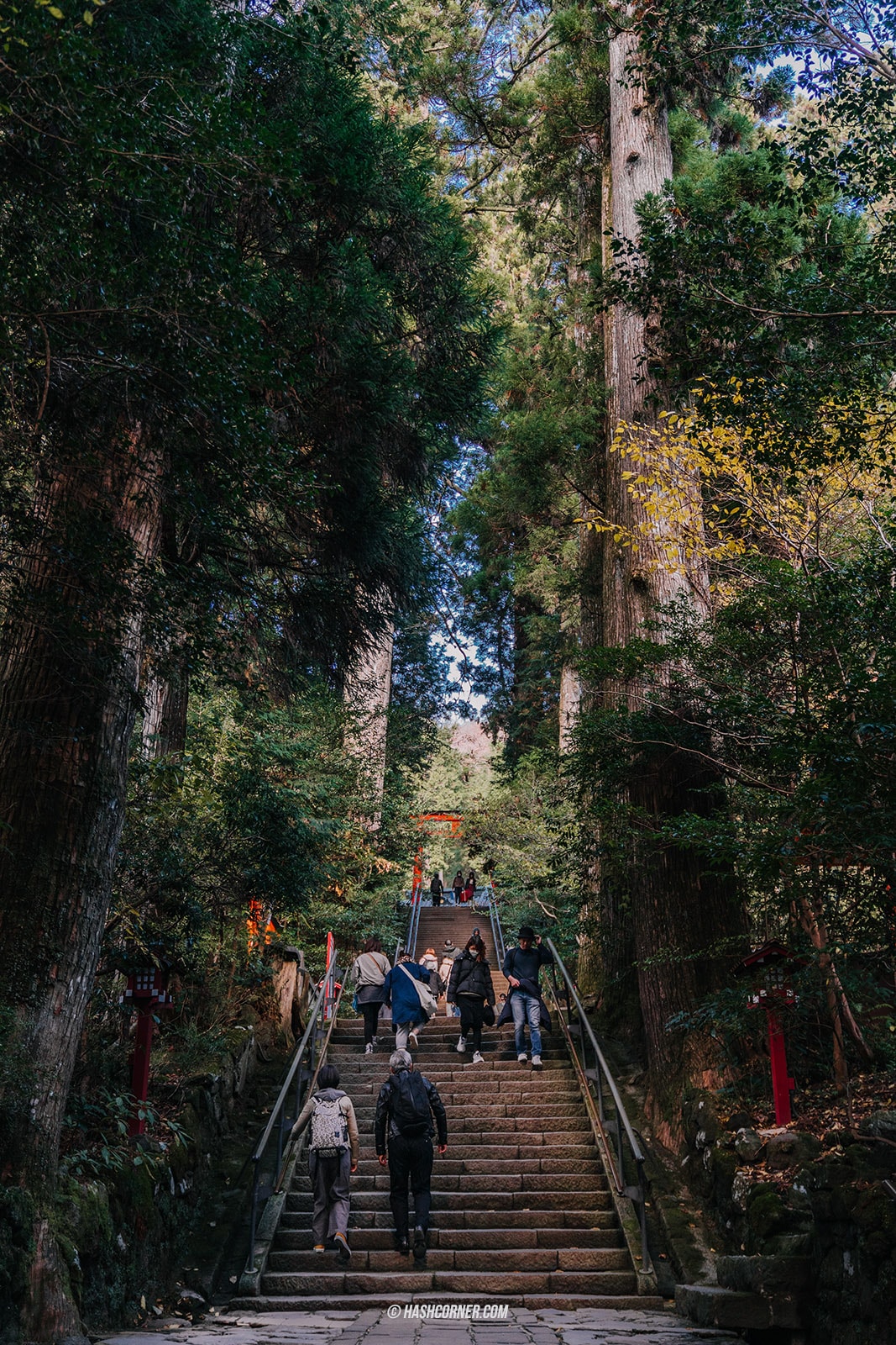 รีวิว ศาลเจ้าฮาโกเน่ (Hakone Shrine) x ฮาโกเน่ ศาลเจ้าเก่าแก่อายุ 1,250 ปี