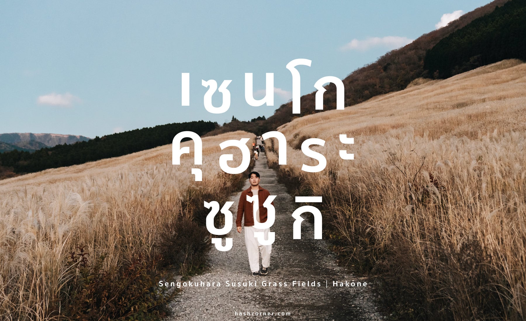 รีวิว ทุ่งหญ้าซูซูกิแห่งเซนโกคุฮาระ (Sengokuhara Susuki Grass Fields) x ฮาโกเน่
