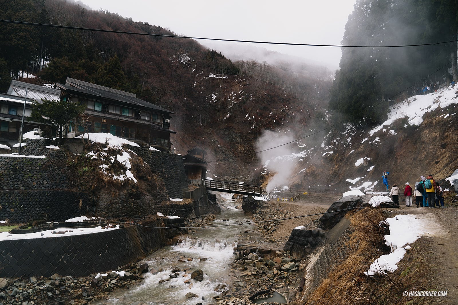 รีวิว สวนลิงจิโกคุดานิ (Snow Monkey Park) x นากาโน่ ดูลิงหิมะแช่ออนเซ็น