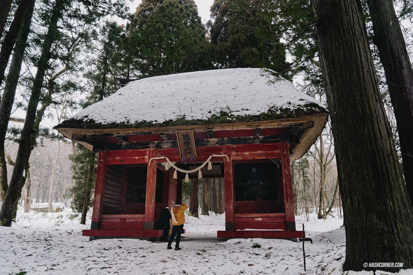 รีวิว ศาลเจ้าโทงาคุชิ โอคุชะ (Togakushi Shrine Okusha) x นากาโน่