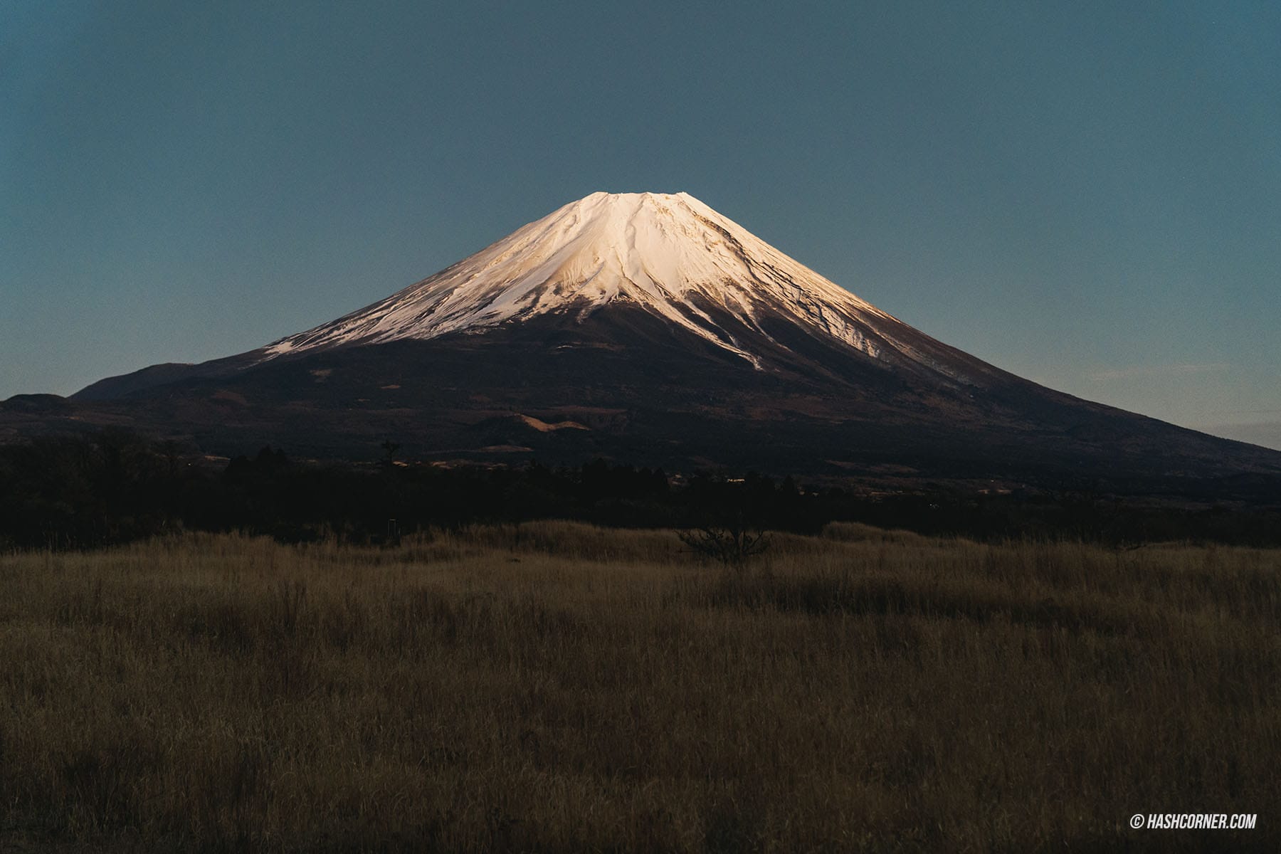 รีวิว ชิซึโอกะ (Shizuoka) x ญี่ปุ่น เที่ยวเมืองฟูจิซังและไร่ชา