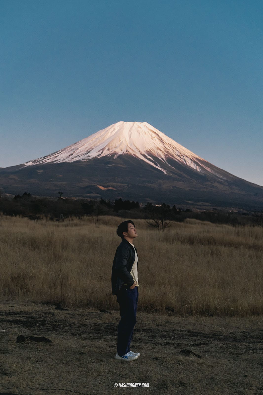รีวิว ชิซึโอกะ (Shizuoka) x ญี่ปุ่น เที่ยวเมืองฟูจิซังและไร่ชา