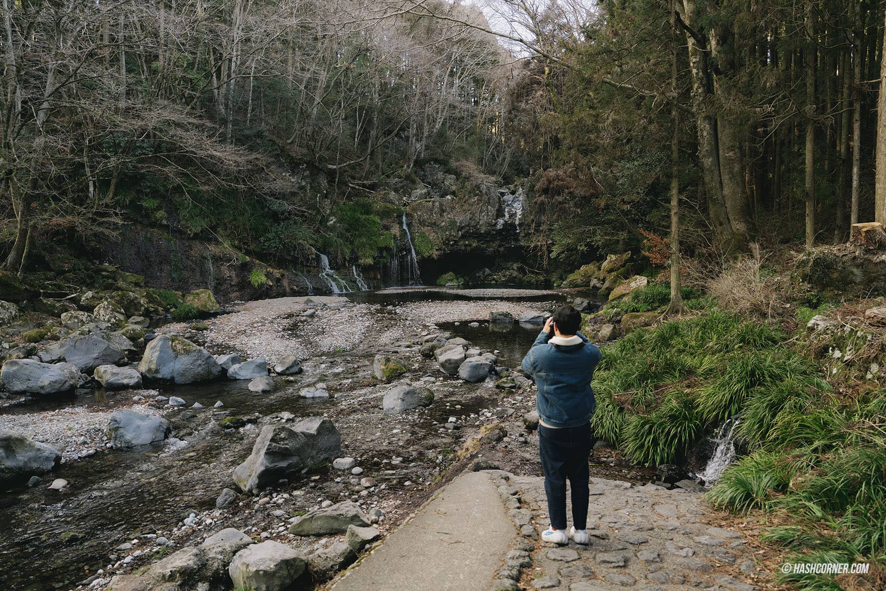 รีวิว ชิซึโอกะ (Shizuoka) x ญี่ปุ่น เที่ยวเมืองฟูจิซังและไร่ชา