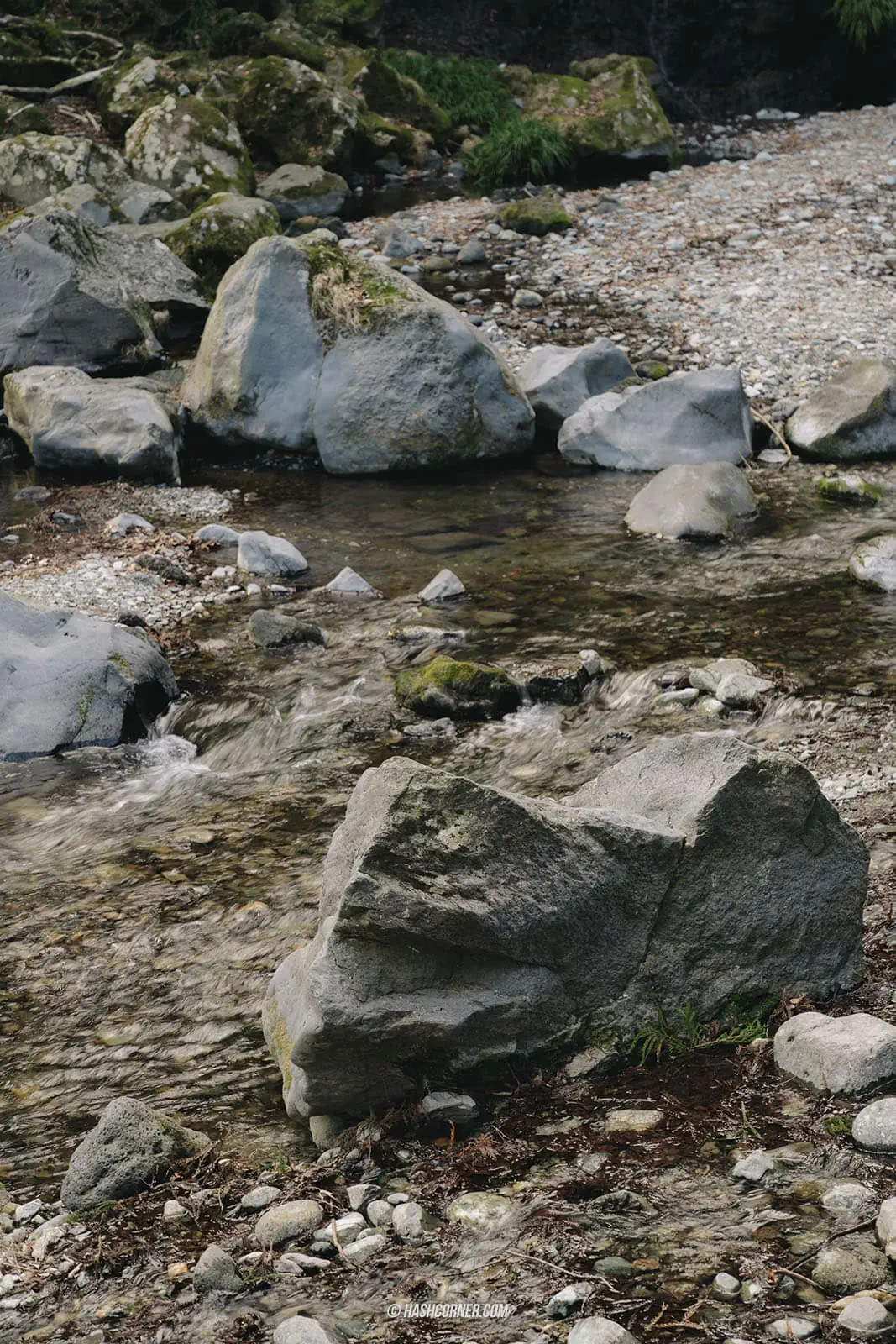 รีวิว น้ำตกจินบะ (Jinba Falls) x ชิซึโอกะ เที่ยวน้ำตกเล็กๆ กลางธรรมชาติ