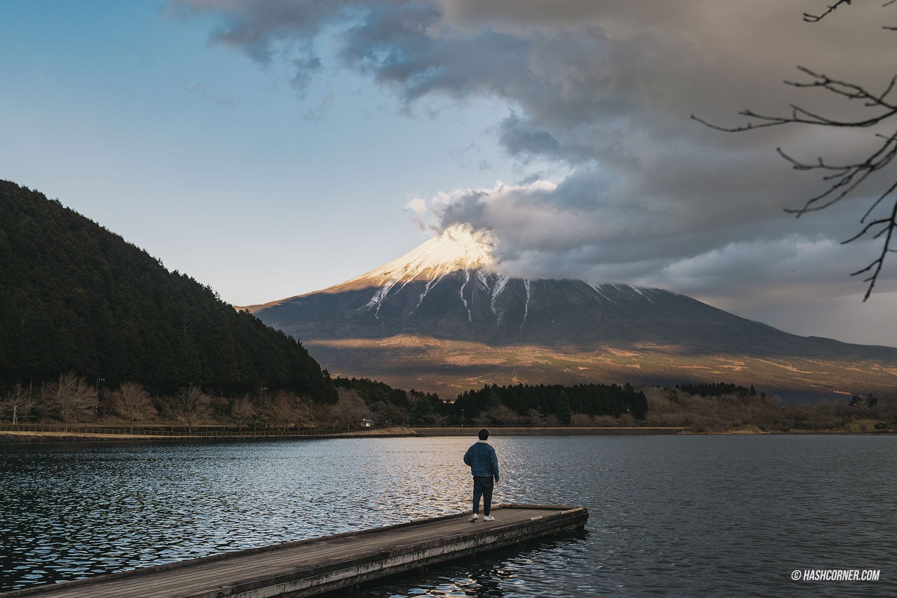 รีวิว ชิซึโอกะ (Shizuoka) x ญี่ปุ่น เที่ยวเมืองฟูจิซังและไร่ชา