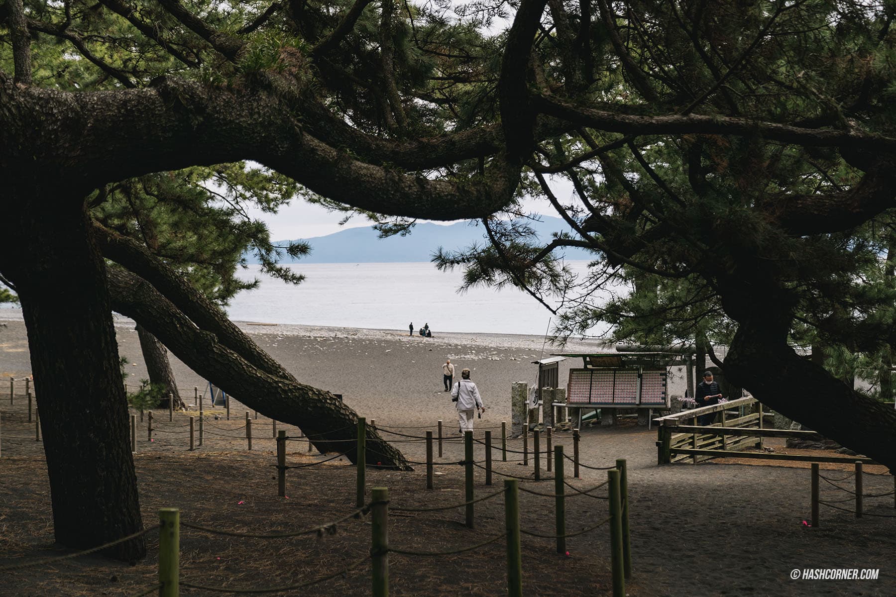 รีวิว ป่าสนมิโฮะโนะมัตสึบาระ (Miho no Matsubara) x ชิซึโอกะ