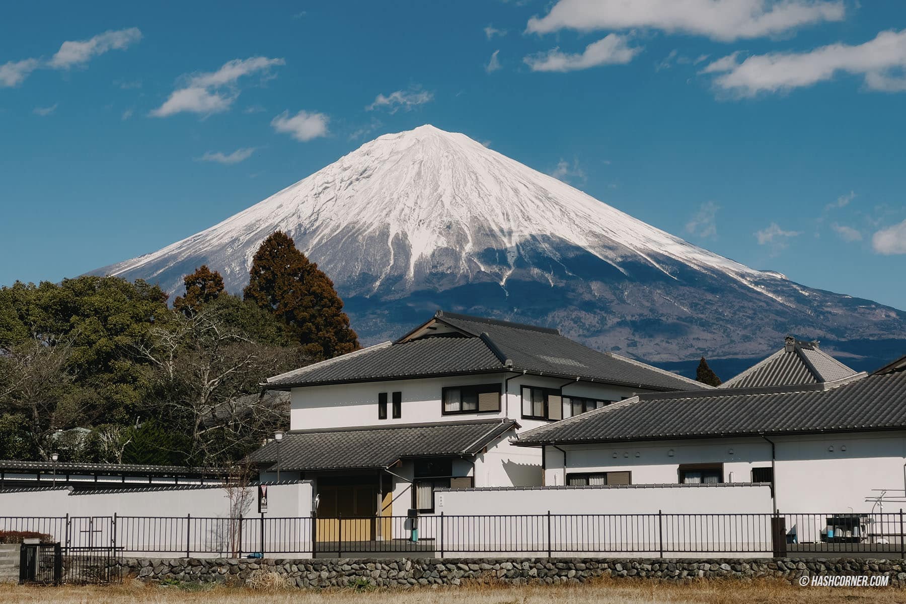 รีวิว ชิซึโอกะ (Shizuoka) x ญี่ปุ่น เที่ยวเมืองฟูจิซังและไร่ชา