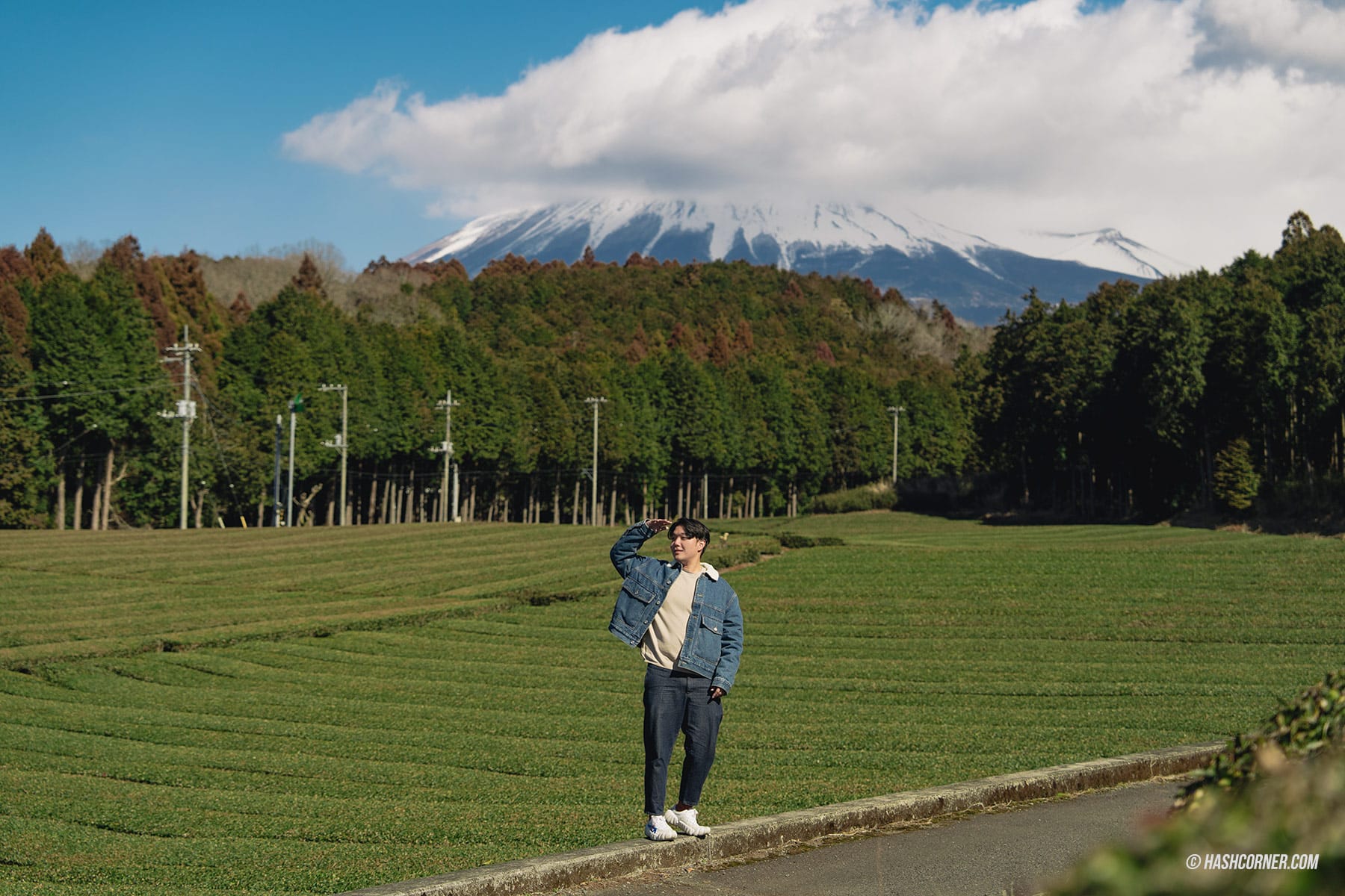 รีวิว ชิซึโอกะ (Shizuoka) x ญี่ปุ่น เที่ยวเมืองฟูจิซังและไร่ชา