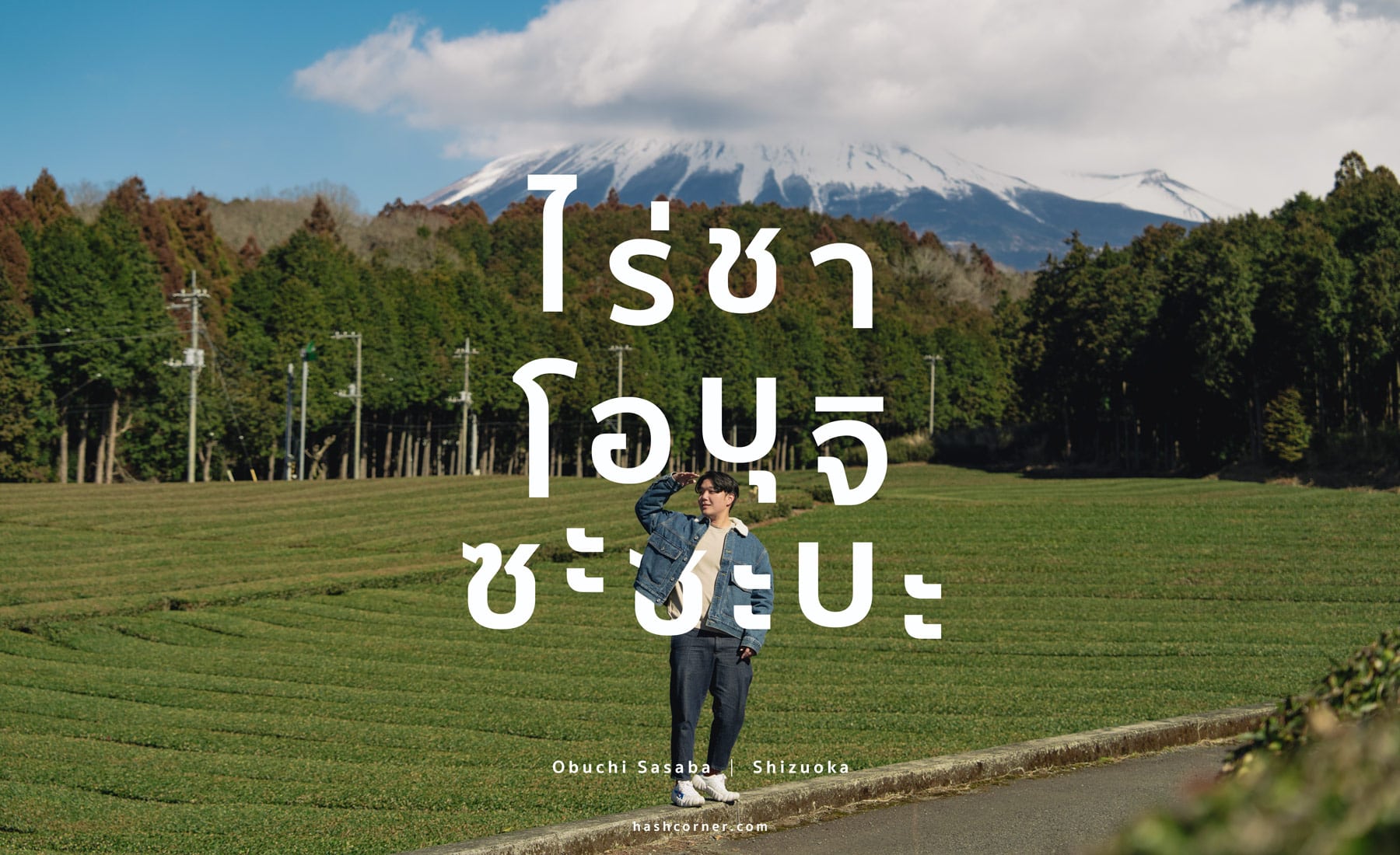 รีวิว ไร่ชาโอบุจิ ซะซะบะ (Obuchi Sasaba) x ชิซึโอกะ เที่ยวไร่ชาวิวฟูจิ