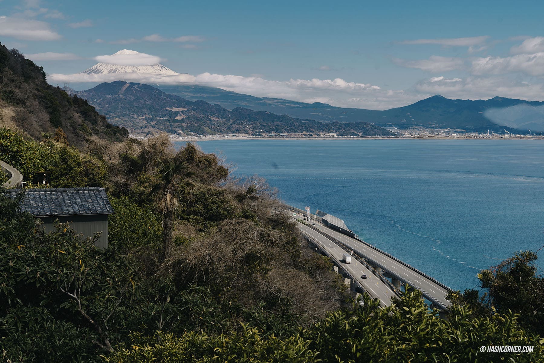 รีวิว ชิซึโอกะ (Shizuoka) x ญี่ปุ่น เที่ยวเมืองฟูจิซังและไร่ชา