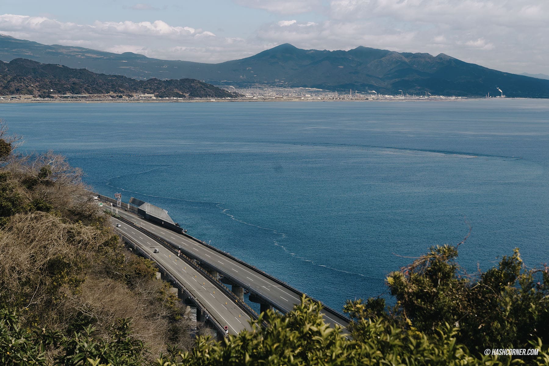 รีวิว ชิซึโอกะ (Shizuoka) x ญี่ปุ่น เที่ยวเมืองฟูจิซังและไร่ชา