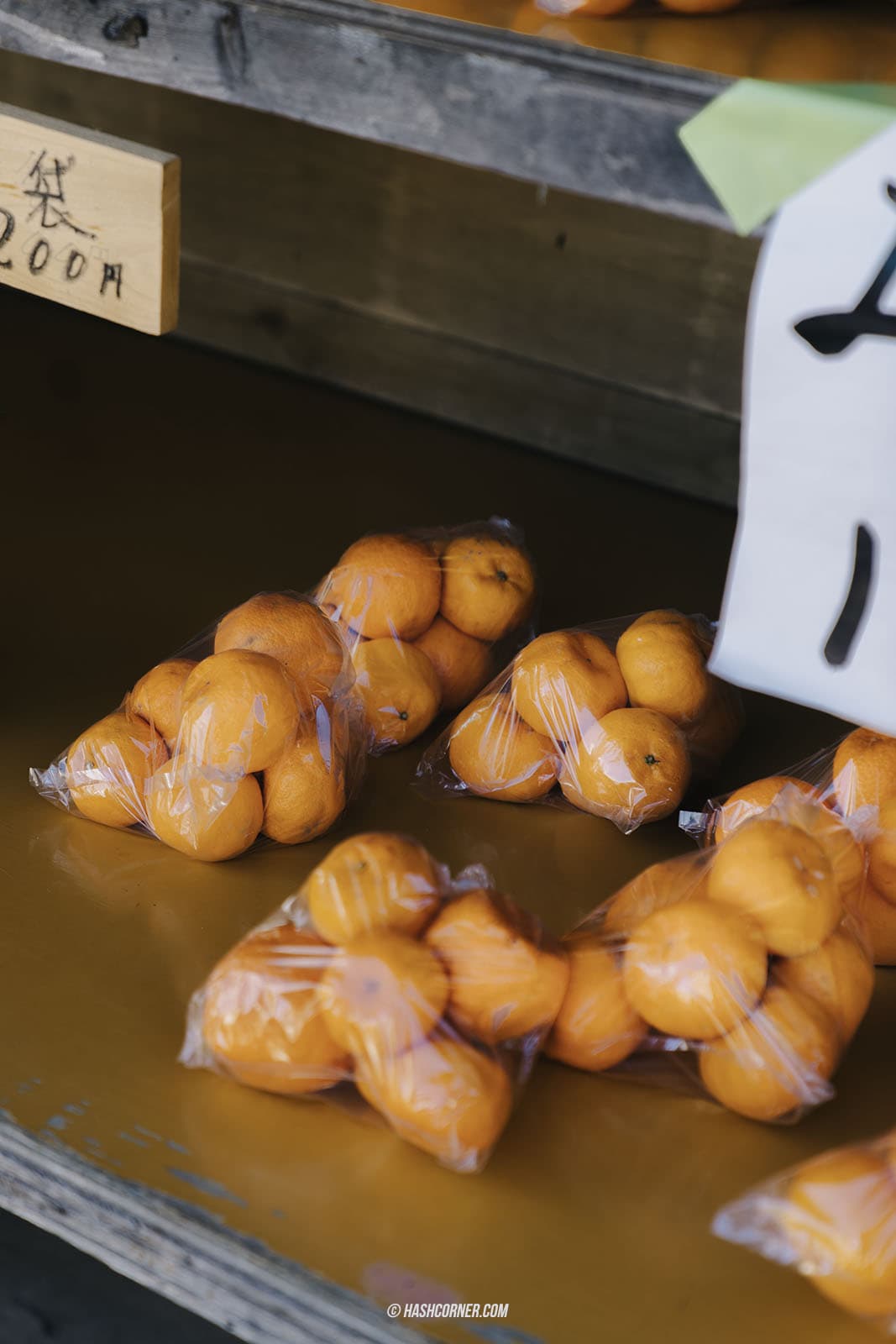 รีวิว ชิซึโอกะ (Shizuoka) x ญี่ปุ่น เที่ยวเมืองฟูจิซังและไร่ชา