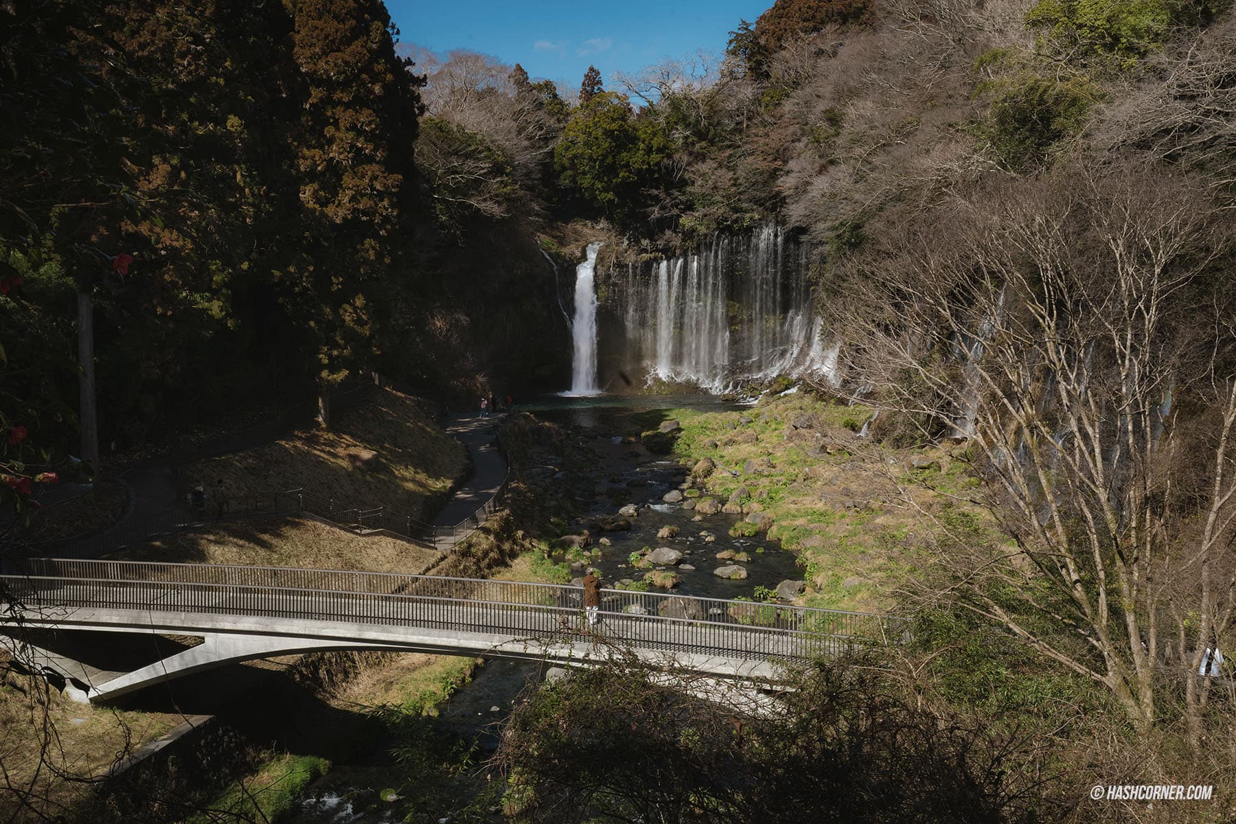 รีวิว น้ำตกชิราอิโตะ (Shiraito Falls) x ชิซึโอกะ เที่ยวน้ำตกท่ามกลางธรรมชาติ
