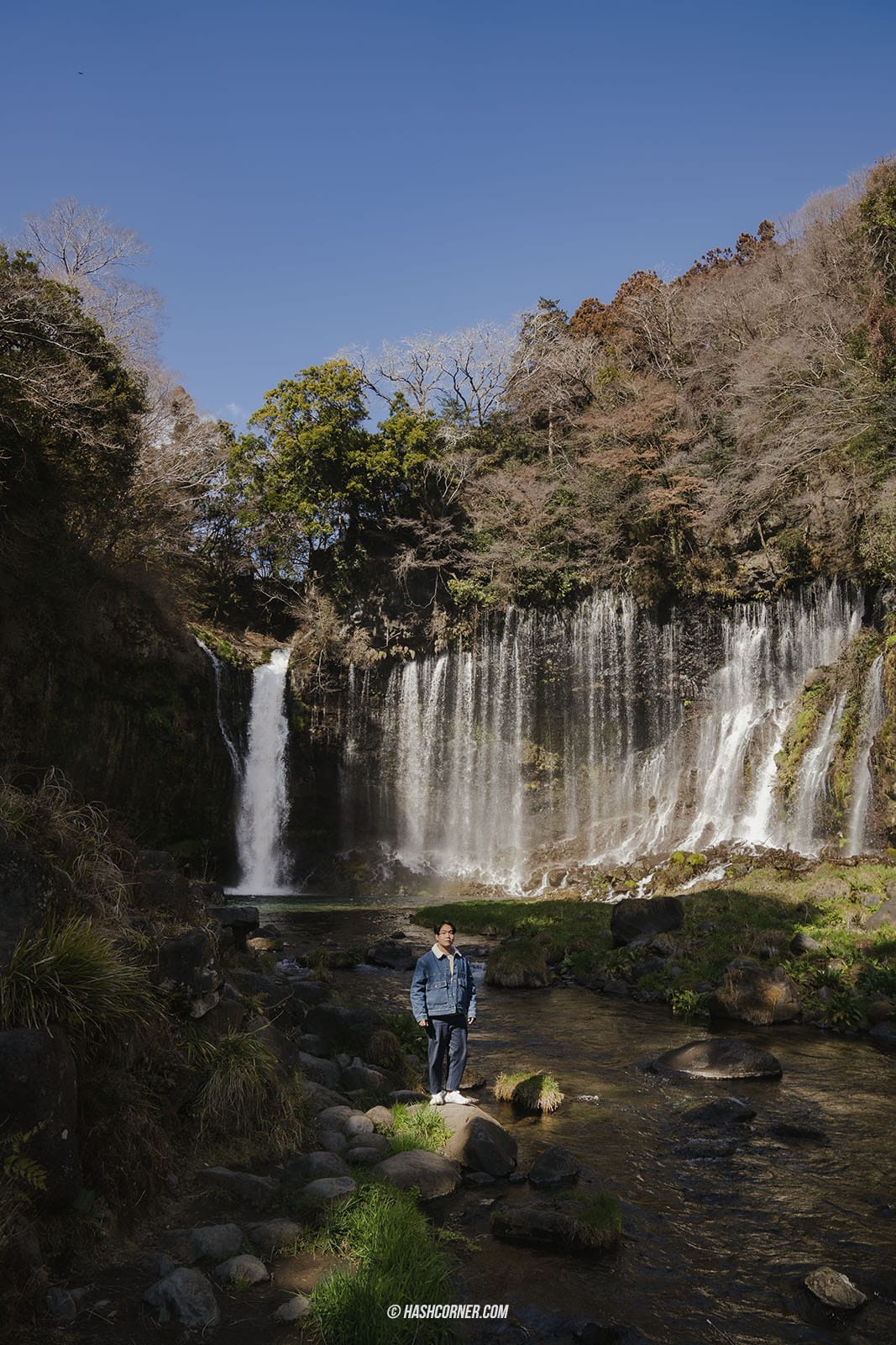 รีวิว น้ำตกชิราอิโตะ (Shiraito Falls) x ชิซึโอกะ เที่ยวน้ำตกท่ามกลางธรรมชาติ