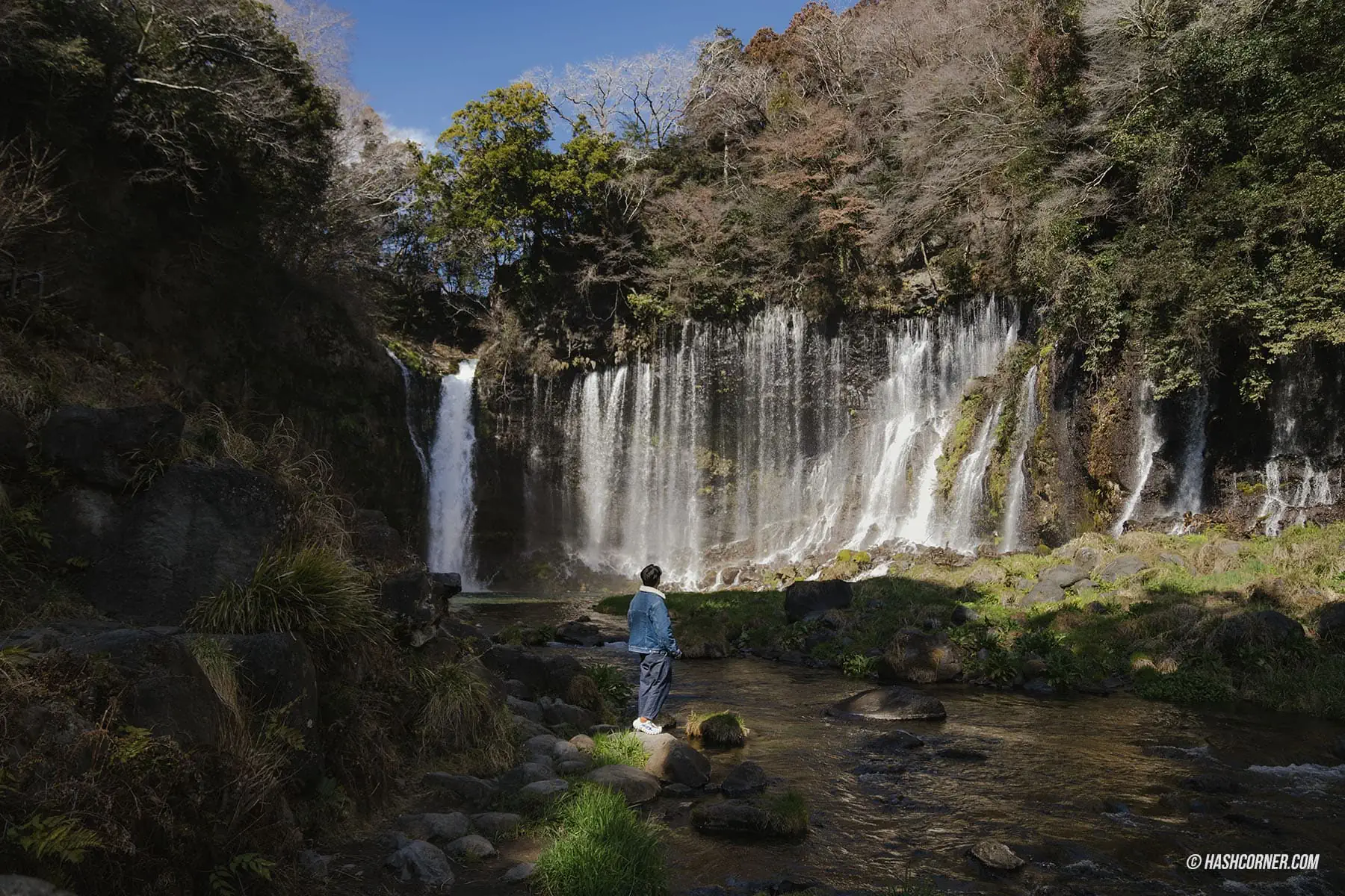 รีวิว น้ำตกชิราอิโตะ (Shiraito Falls) x ชิซึโอกะ เที่ยวน้ำตกท่ามกลางธรรมชาติ