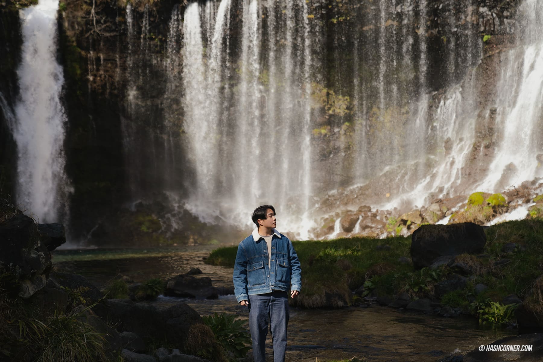 รีวิว น้ำตกชิราอิโตะ (Shiraito Falls) x ชิซึโอกะ เที่ยวน้ำตกท่ามกลางธรรมชาติ