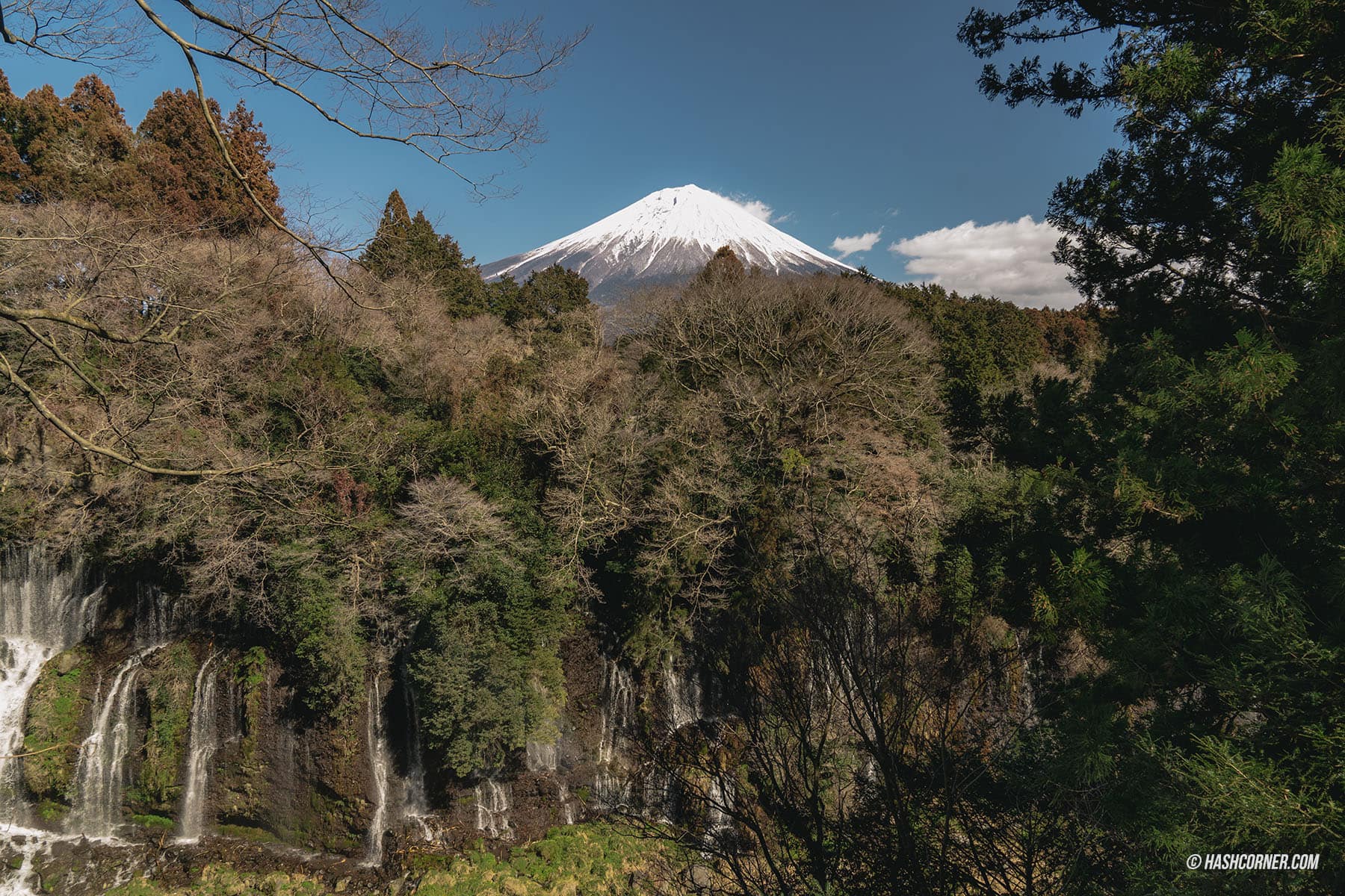 รีวิว น้ำตกชิราอิโตะ (Shiraito Falls) x ชิซึโอกะ เที่ยวน้ำตกท่ามกลางธรรมชาติ