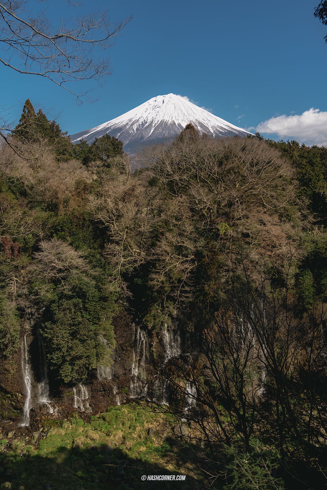 รีวิว น้ำตกชิราอิโตะ (Shiraito Falls) x ชิซึโอกะ เที่ยวน้ำตกท่ามกลางธรรมชาติ