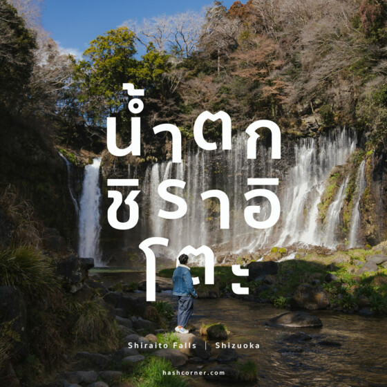รีวิว น้ำตกชิราอิโตะ (Shiraito Falls) x ชิซึโอกะ เที่ยวน้ำตกท่ามกลางธรรมชาติ