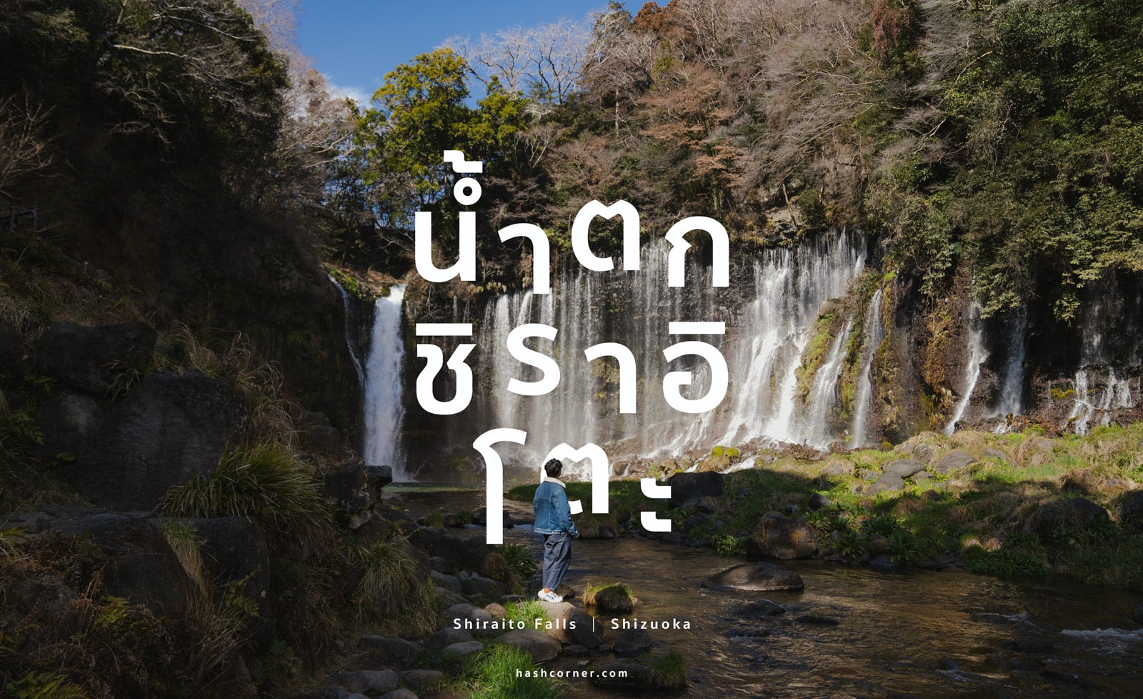 รีวิว น้ำตกชิราอิโตะ (Shiraito Falls) x ชิซึโอกะ เที่ยวน้ำตกท่ามกลางธรรมชาติ