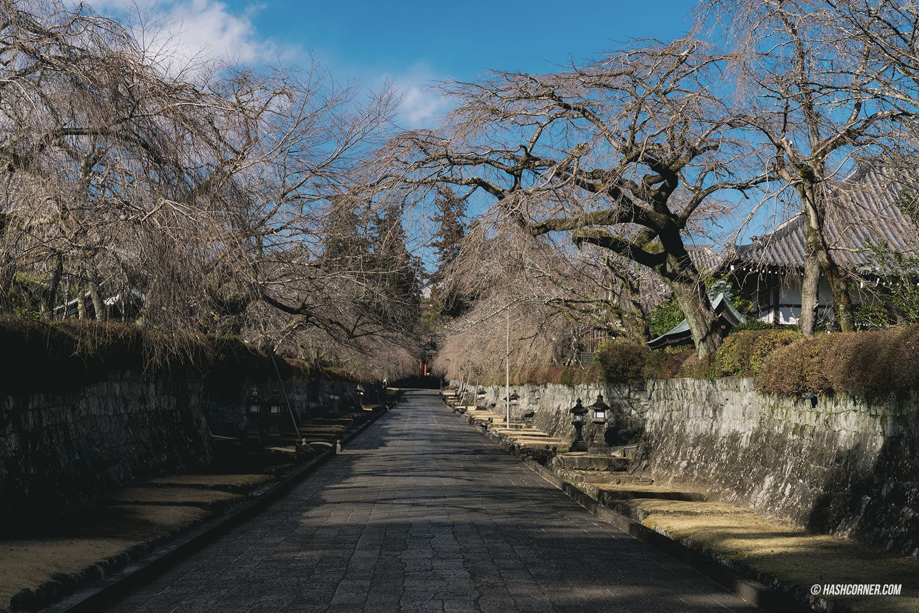 รีวิว ชิซึโอกะ (Shizuoka) x ญี่ปุ่น เที่ยวเมืองฟูจิซังและไร่ชา