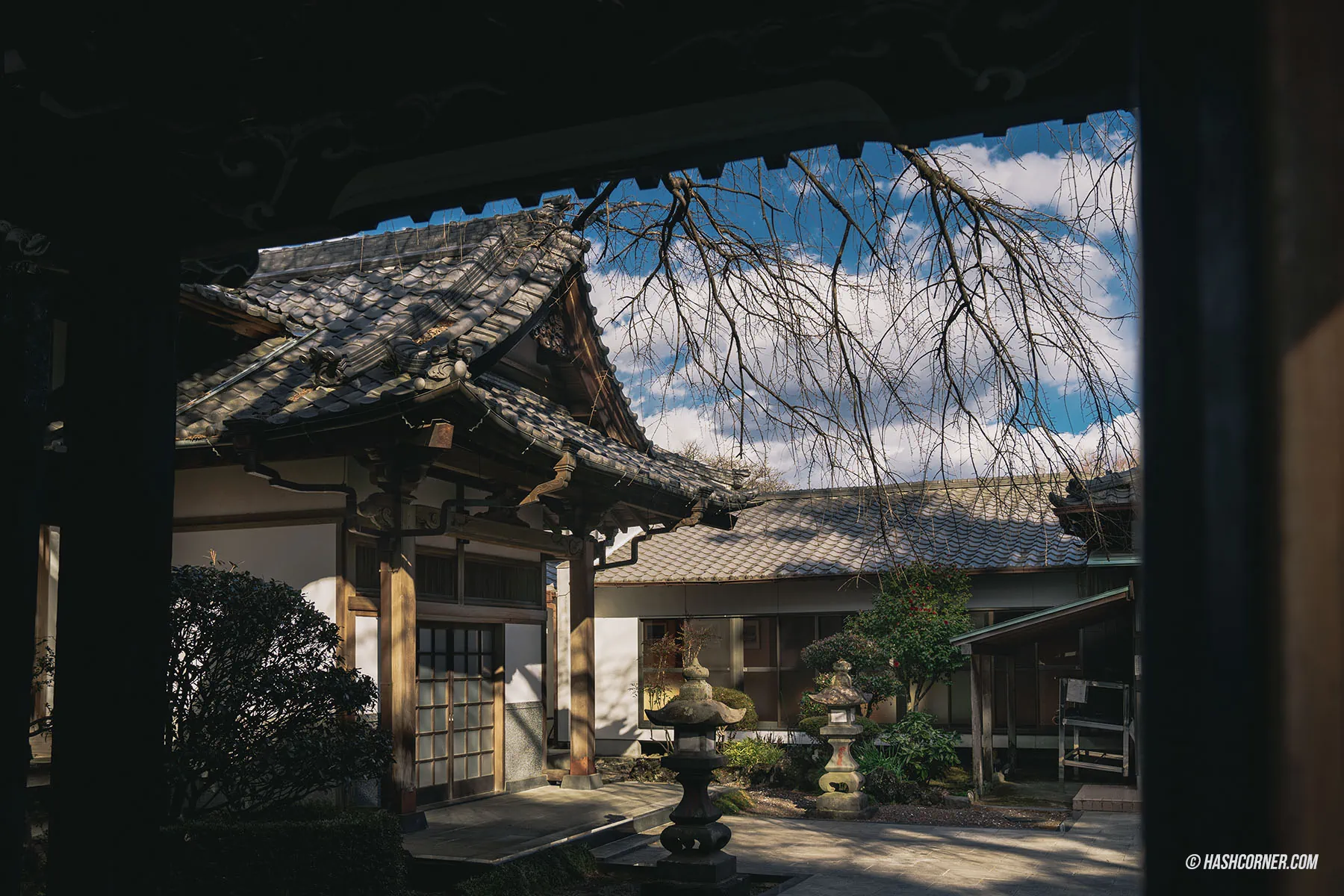 รีวิว วัดไทเซคิจิ (Taisekiji Temple) x ชิซึโอกะ วัดเก่าแก่วิวฟูจิซังที่หลายคนยังไม่รู้จัก