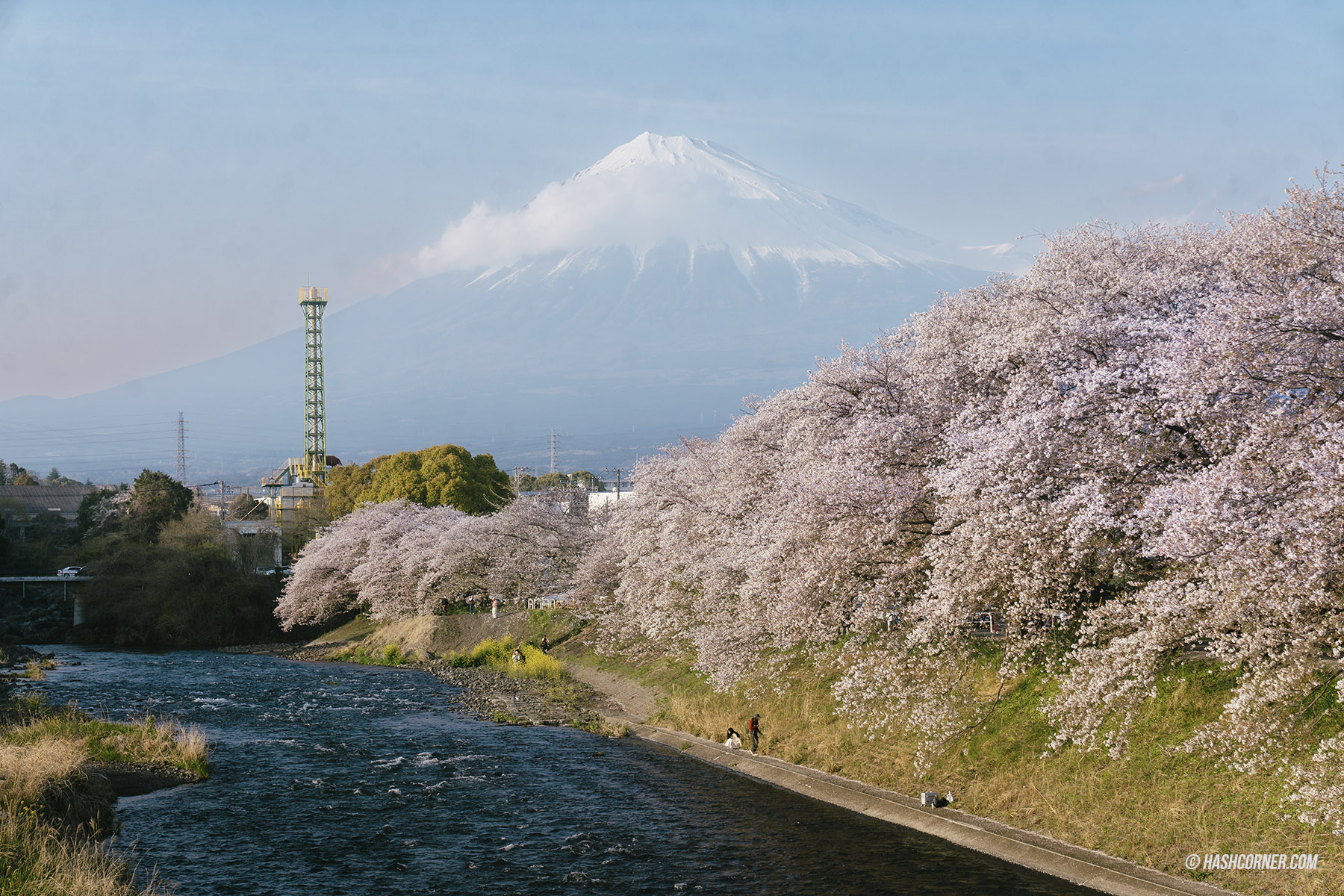รีวิว ชิซึโอกะ (Shizuoka) x ญี่ปุ่น เที่ยวเมืองฟูจิซังและไร่ชา
