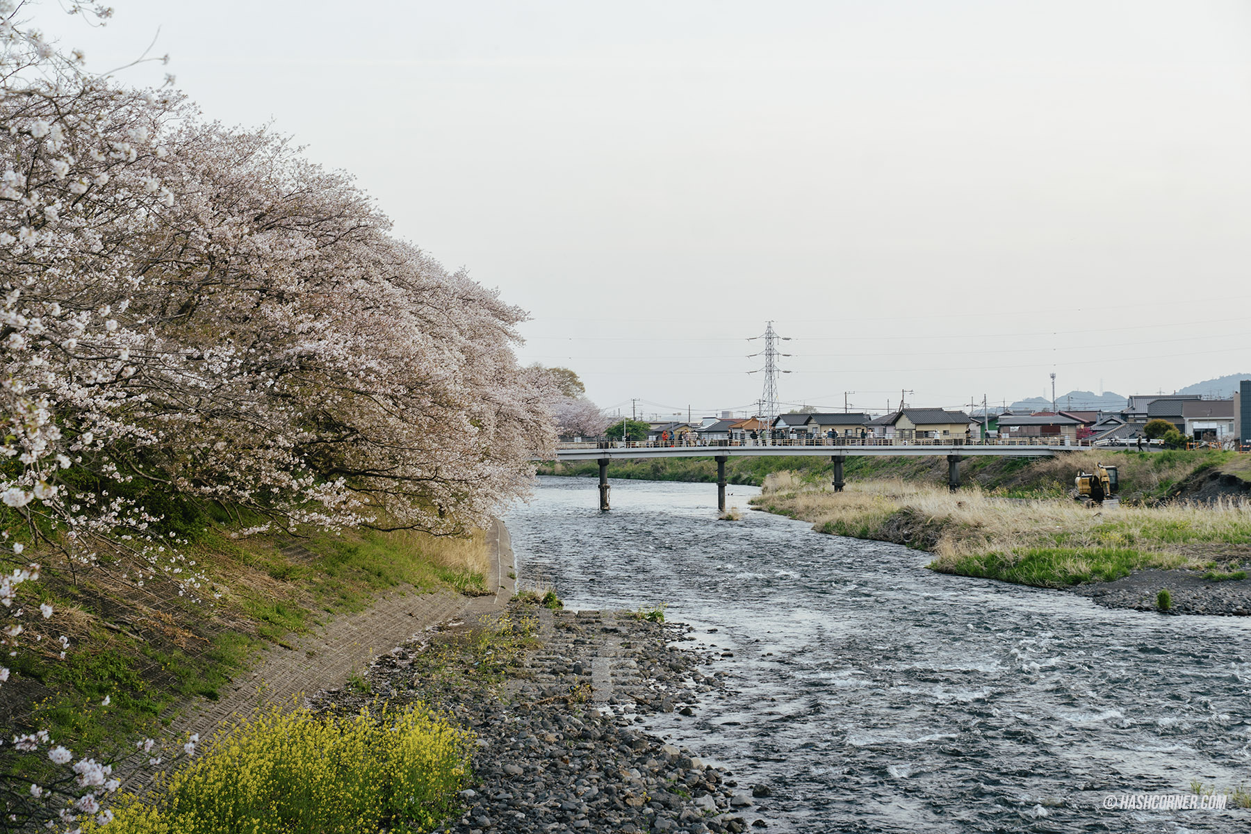 รีวิว ชิซึโอกะ (Shizuoka) x ญี่ปุ่น เที่ยวเมืองฟูจิซังและไร่ชา
