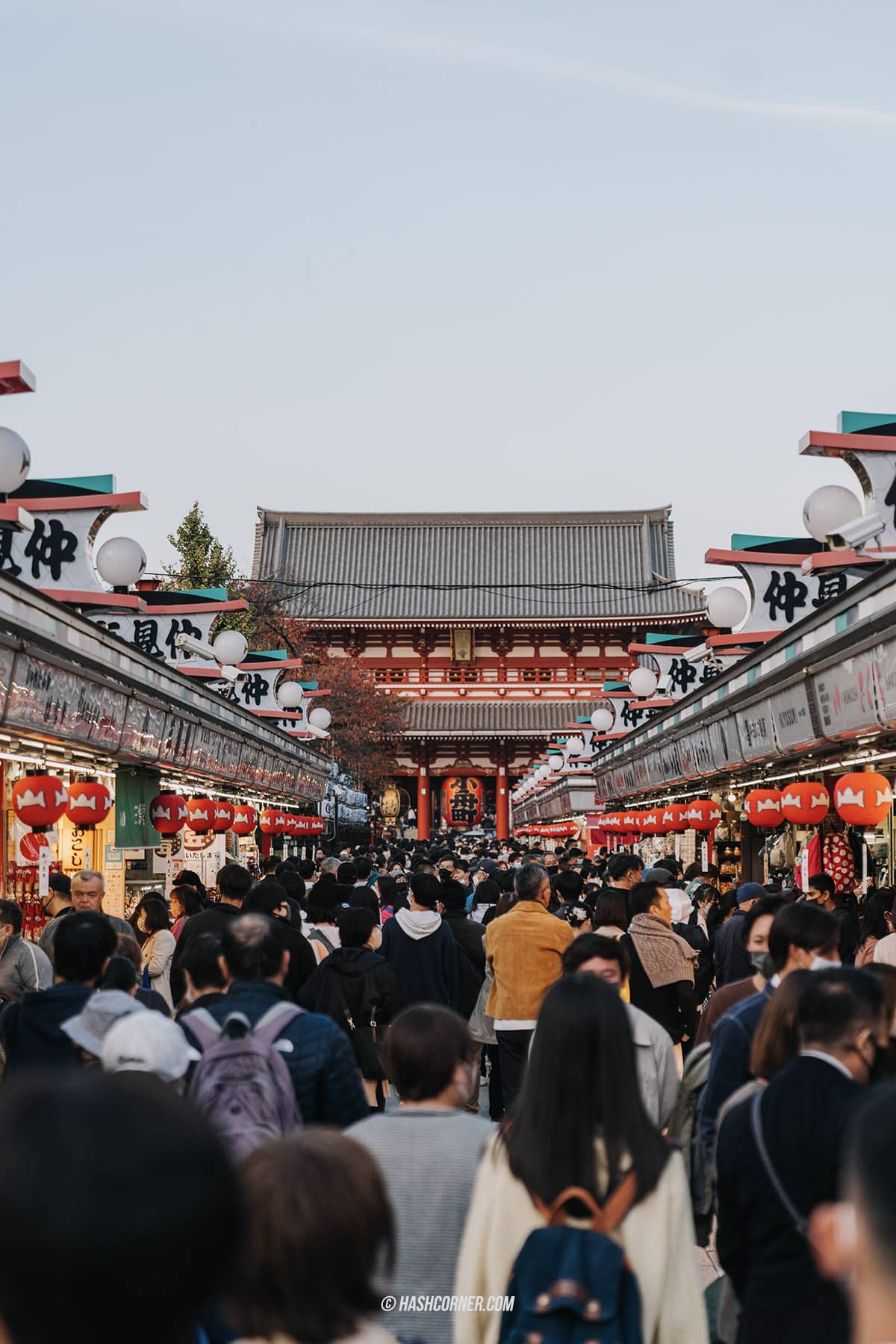 รีวิว อาซากุสะ (Asakusa) x โตเกียว ขอพรวัดเซ็นโซจิ ชมวิวเมือง