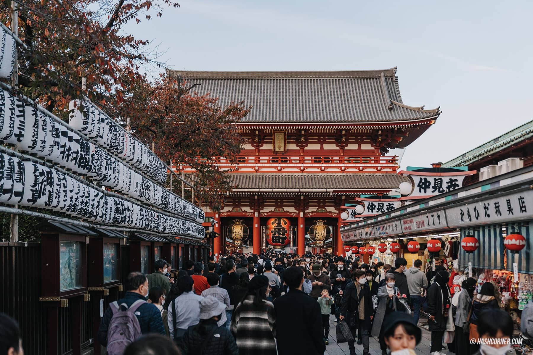 รีวิว อาซากุสะ (Asakusa) x โตเกียว ขอพรวัดเซ็นโซจิ ชมวิวเมือง